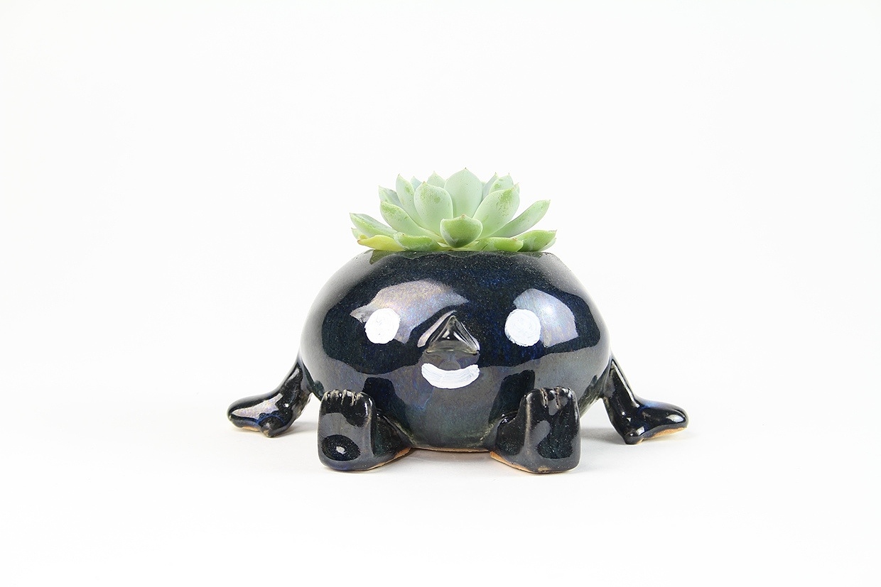 Home Furnishing，Flowerpot，Cartoon，ceramics，handicraft，