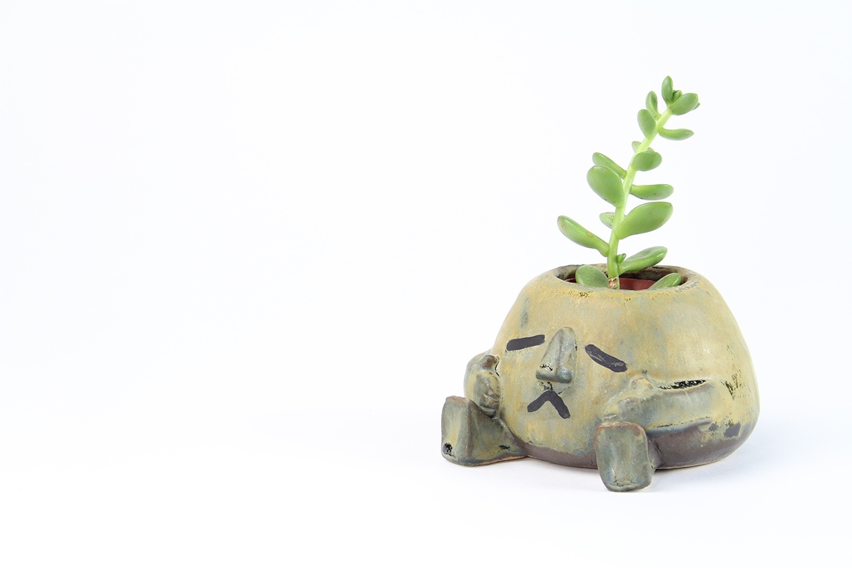 Home Furnishing，Flowerpot，Cartoon，ceramics，handicraft，