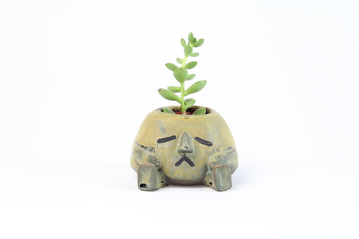 Home Furnishing，Flowerpot，Cartoon，ceramics，handicraft，