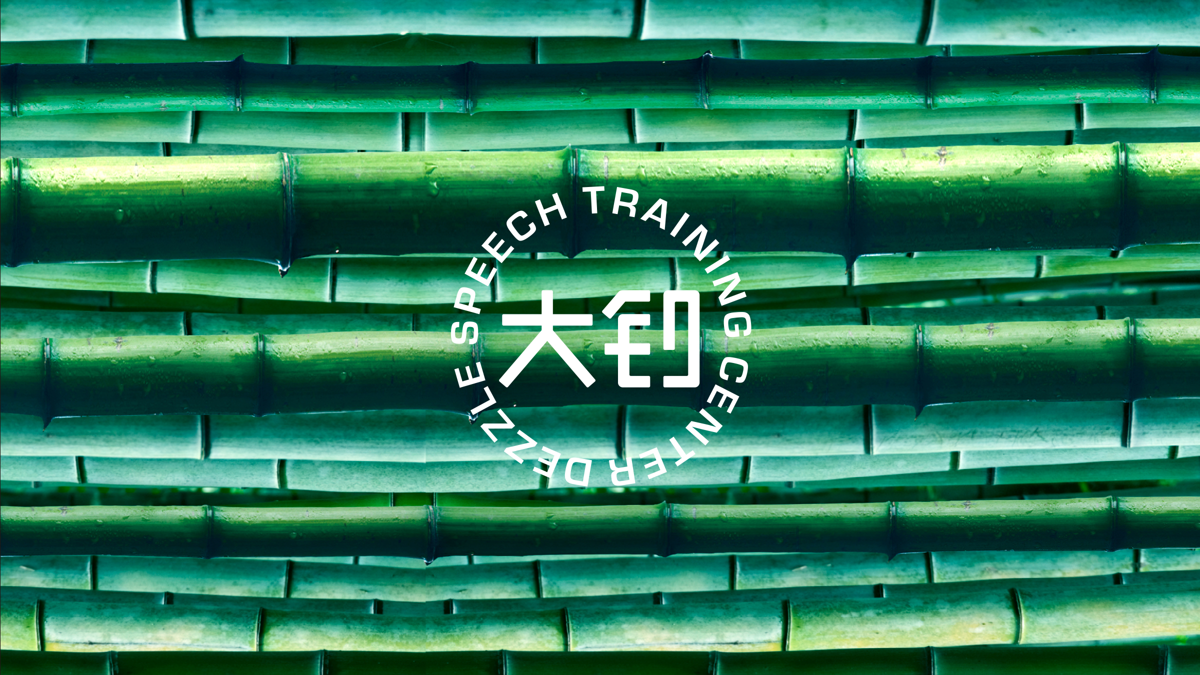 Magpie packaging，Logo design，Enterprise VI，VI design，