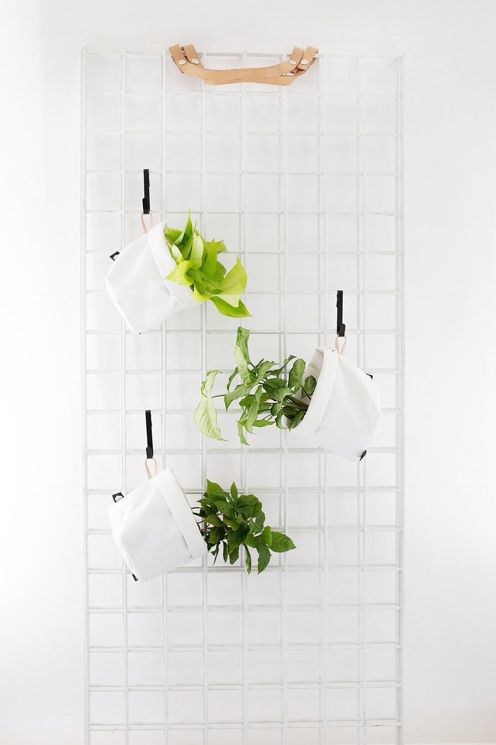 decorate，environment protection，gardening，