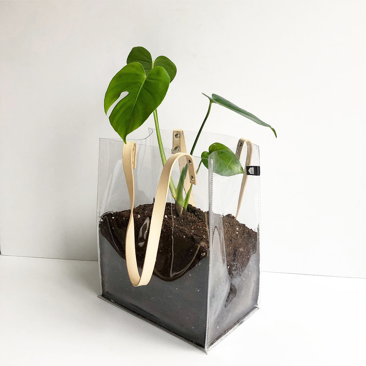 decorate，environment protection，gardening，