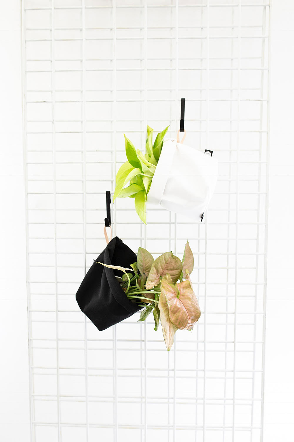 decorate，environment protection，gardening，
