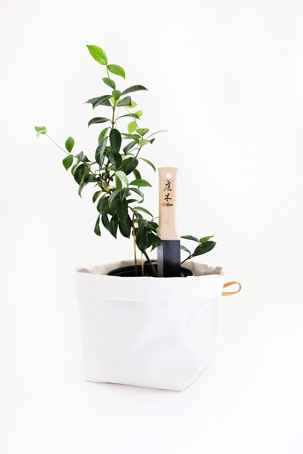 decorate，environment protection，gardening，