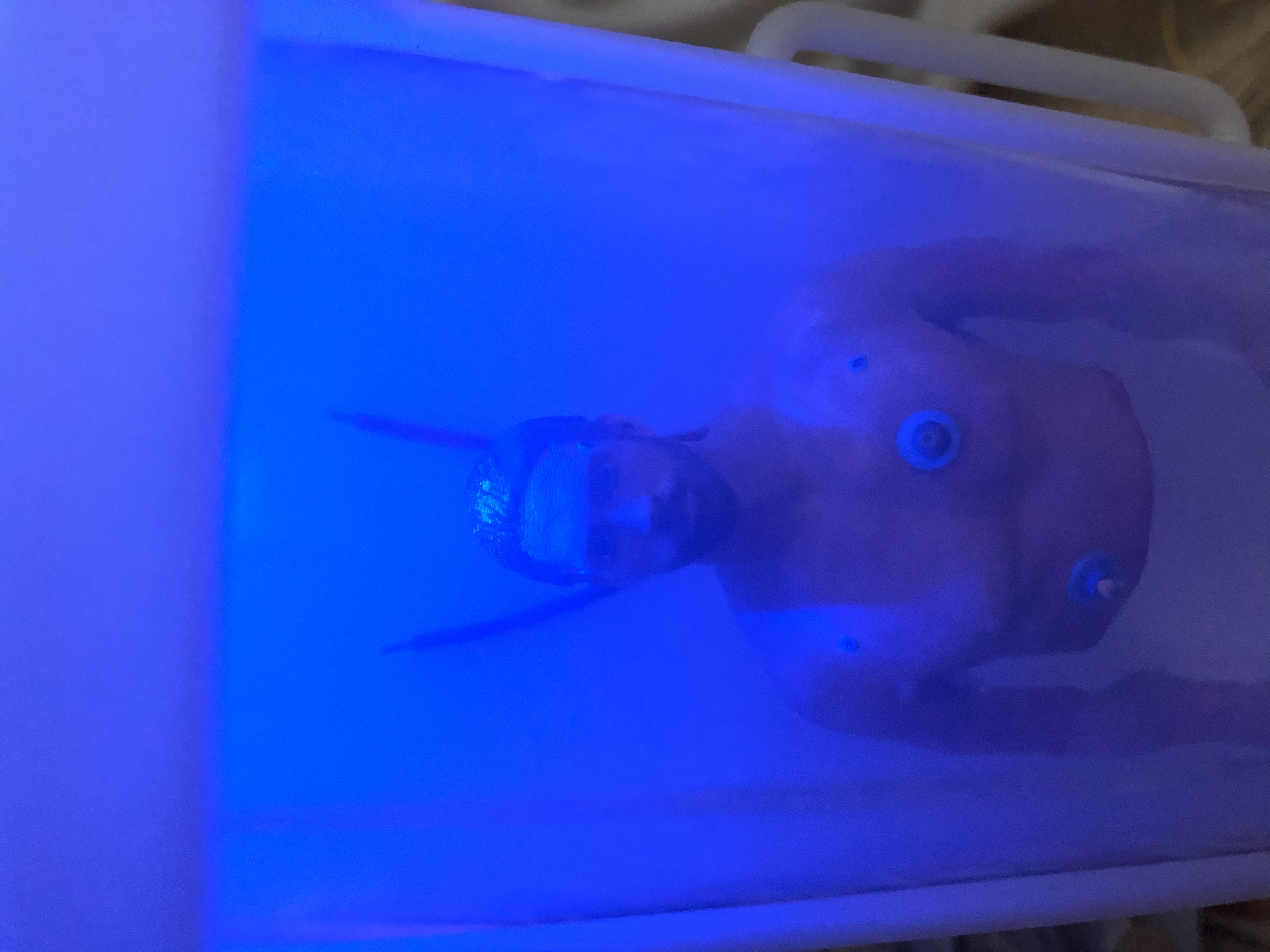 Handmade, product, rendering, design，