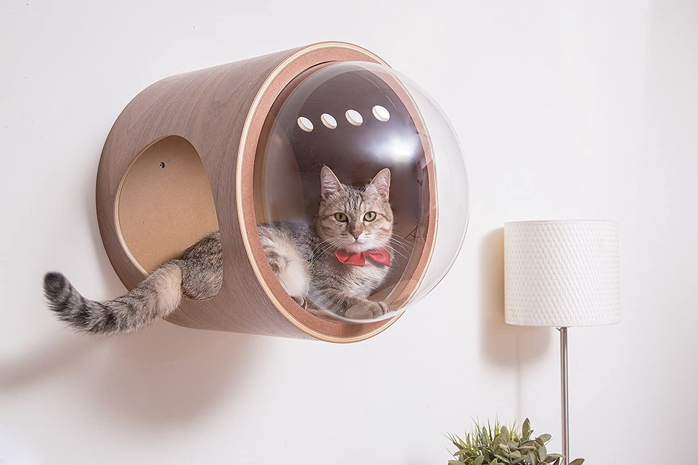 MyZoo Studio，Cat bed，Space capsule，Pet Supplies & Pet，