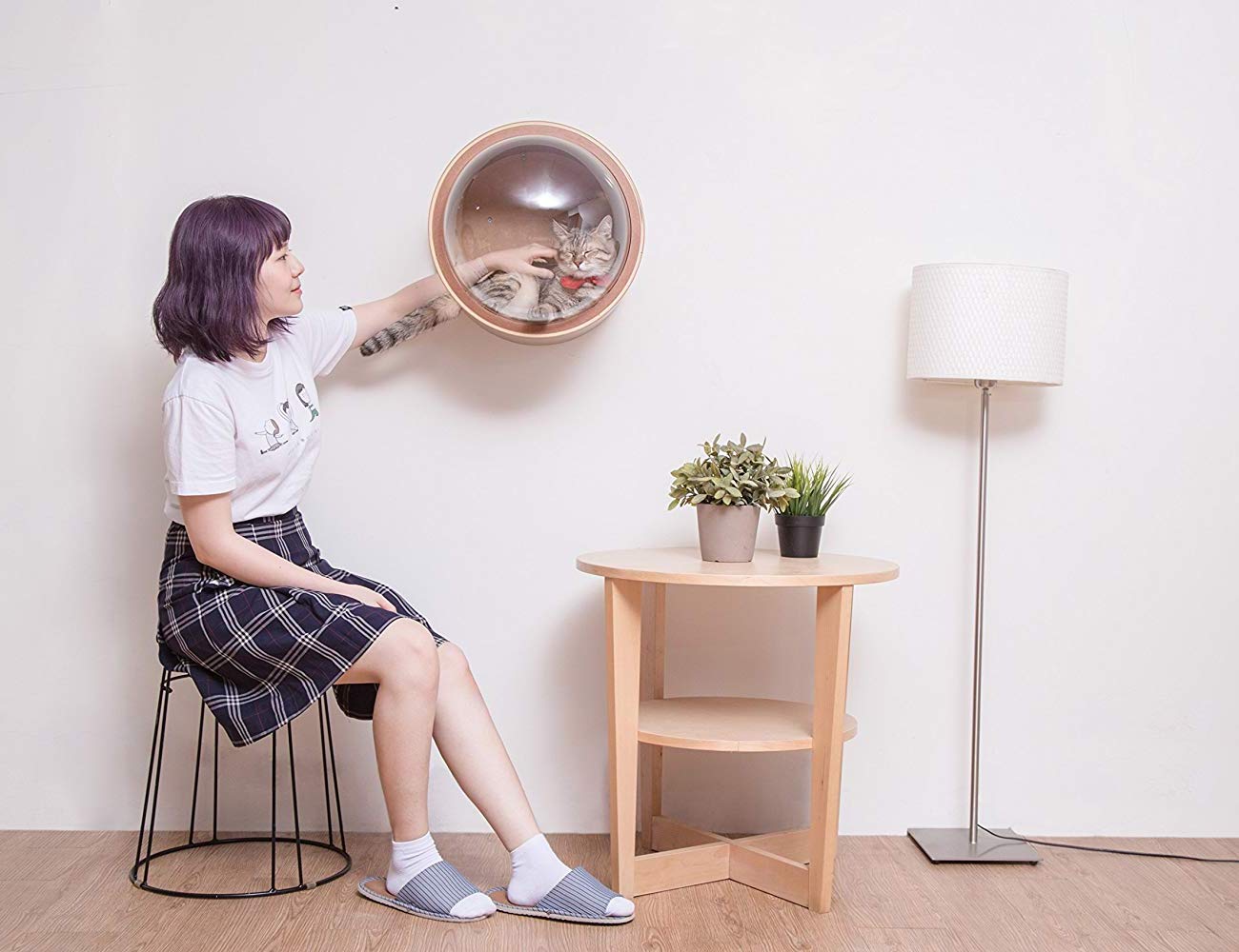 MyZoo Studio，Cat bed，Space capsule，Pet Supplies & Pet，