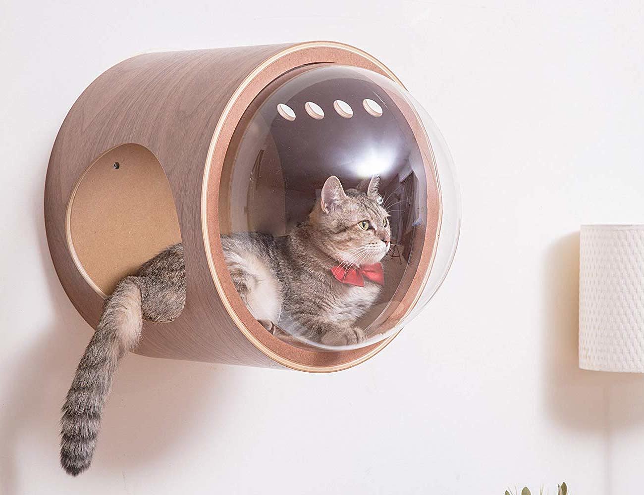 MyZoo Studio，Cat bed，Space capsule，Pet Supplies & Pet，