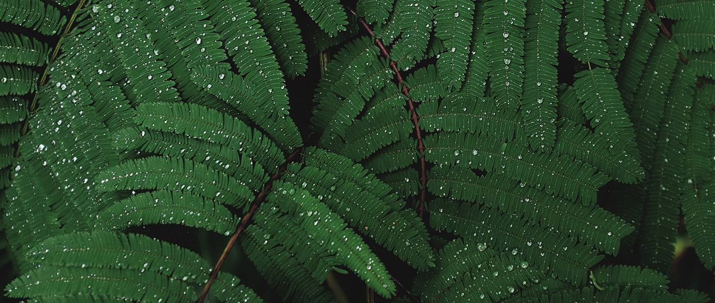 Aromatherapy machine，Humidifier，Scent + Dehumidifier，