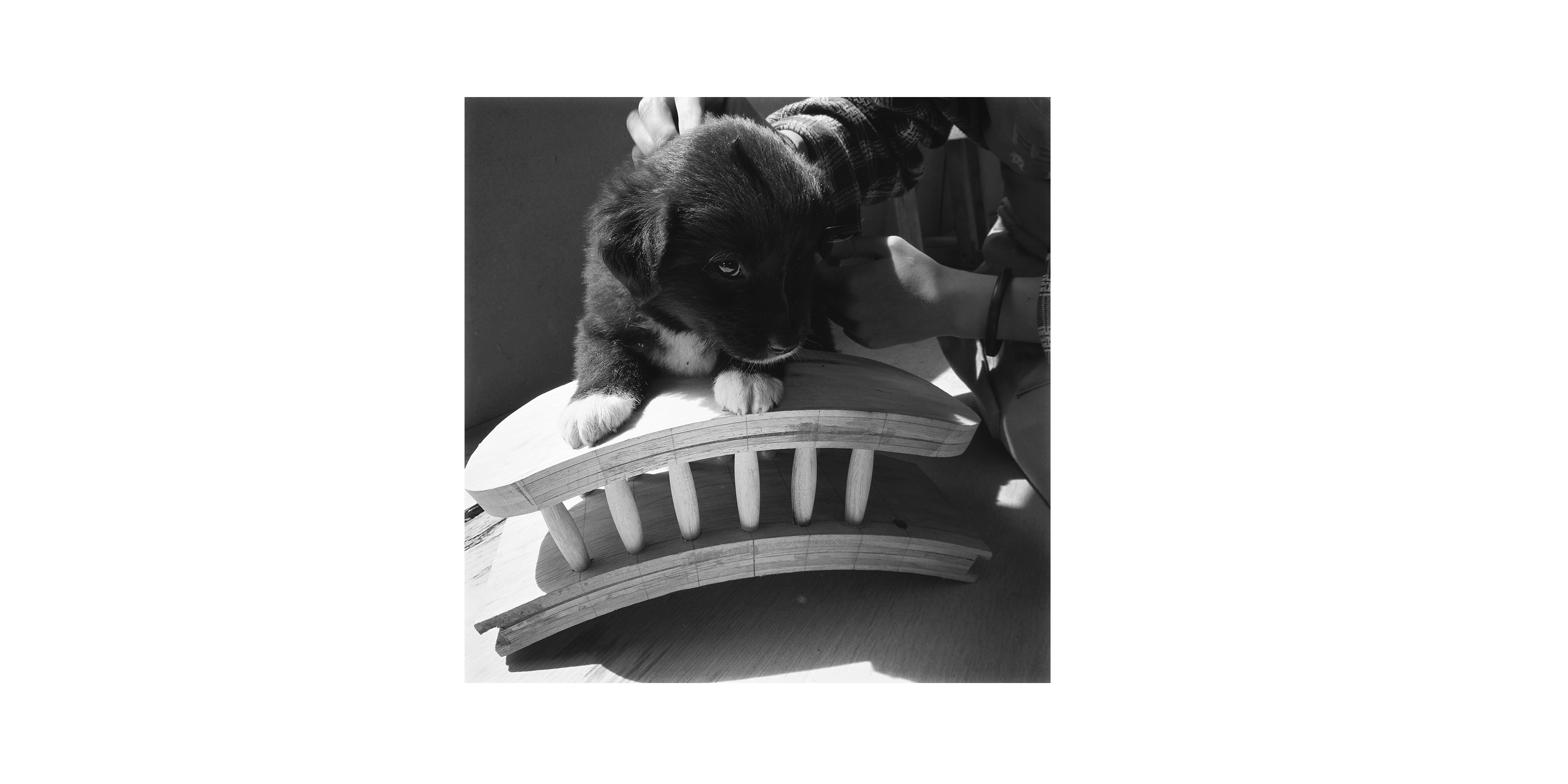 Log，Creative toys，rocking horse，