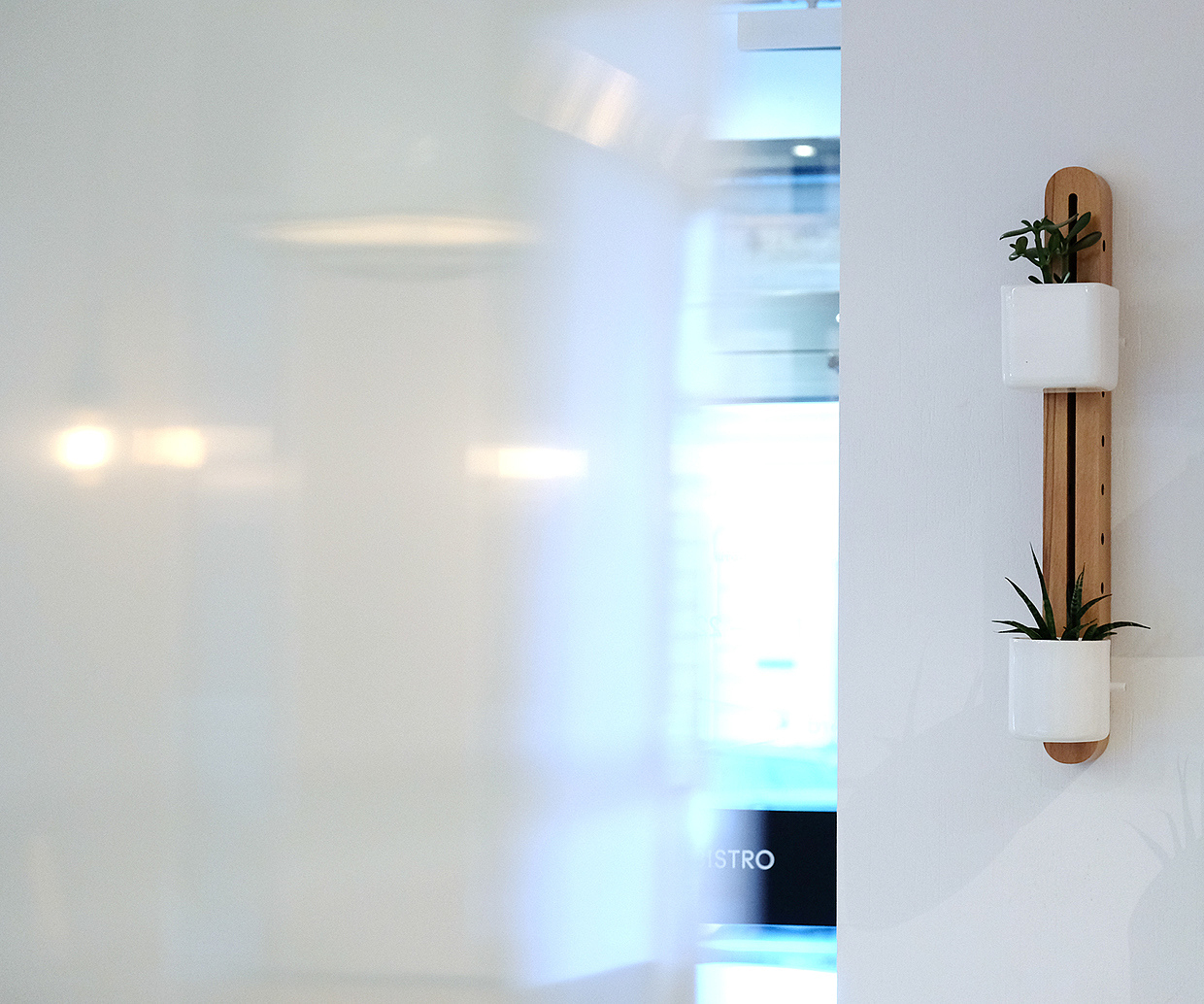 Home Furnishing，Flowerpot，decorate，ceramics，product design，