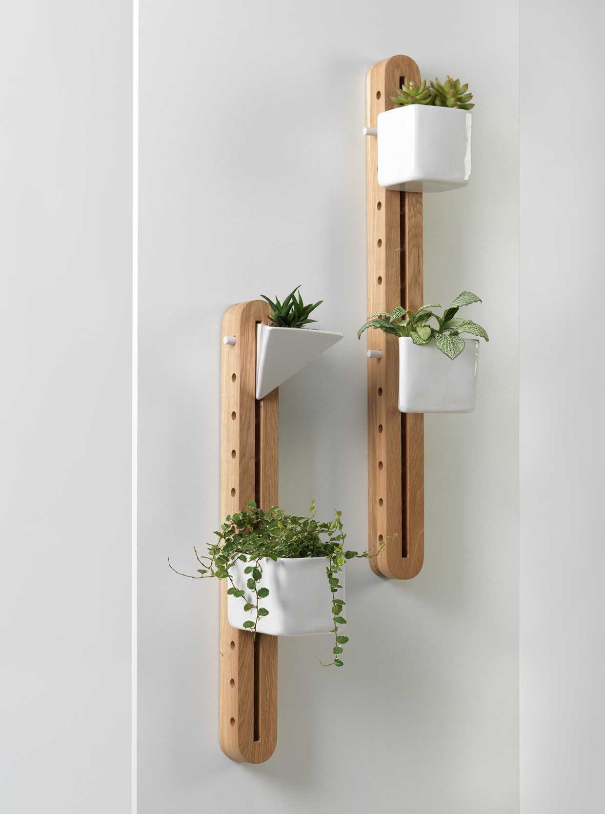 Home Furnishing，Flowerpot，decorate，ceramics，product design，