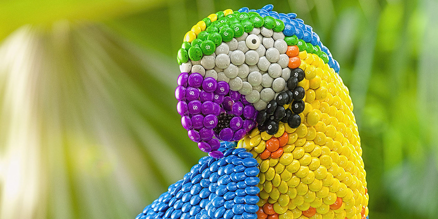 tropicalskittles没什么比用彩虹糖做的热带动物更有趣了