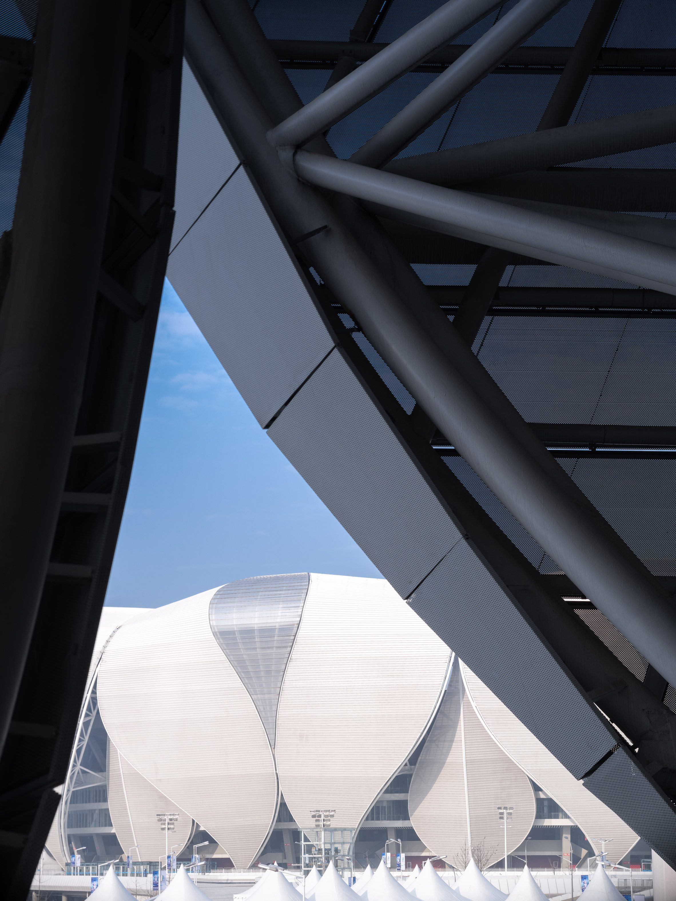 Architecture，Lotus，Olympics，Modeling design，