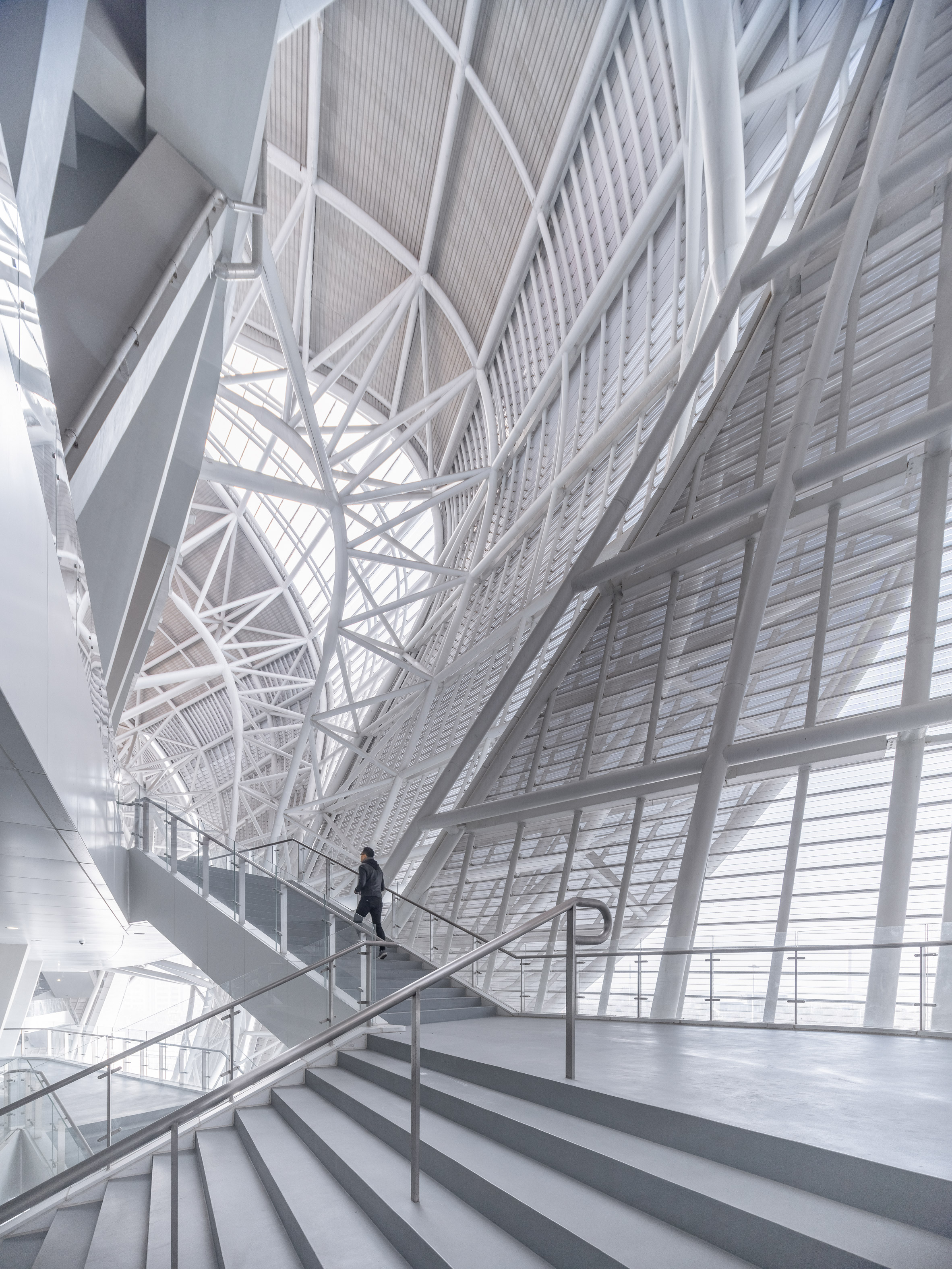 Architecture，Lotus，Olympics，Modeling design，