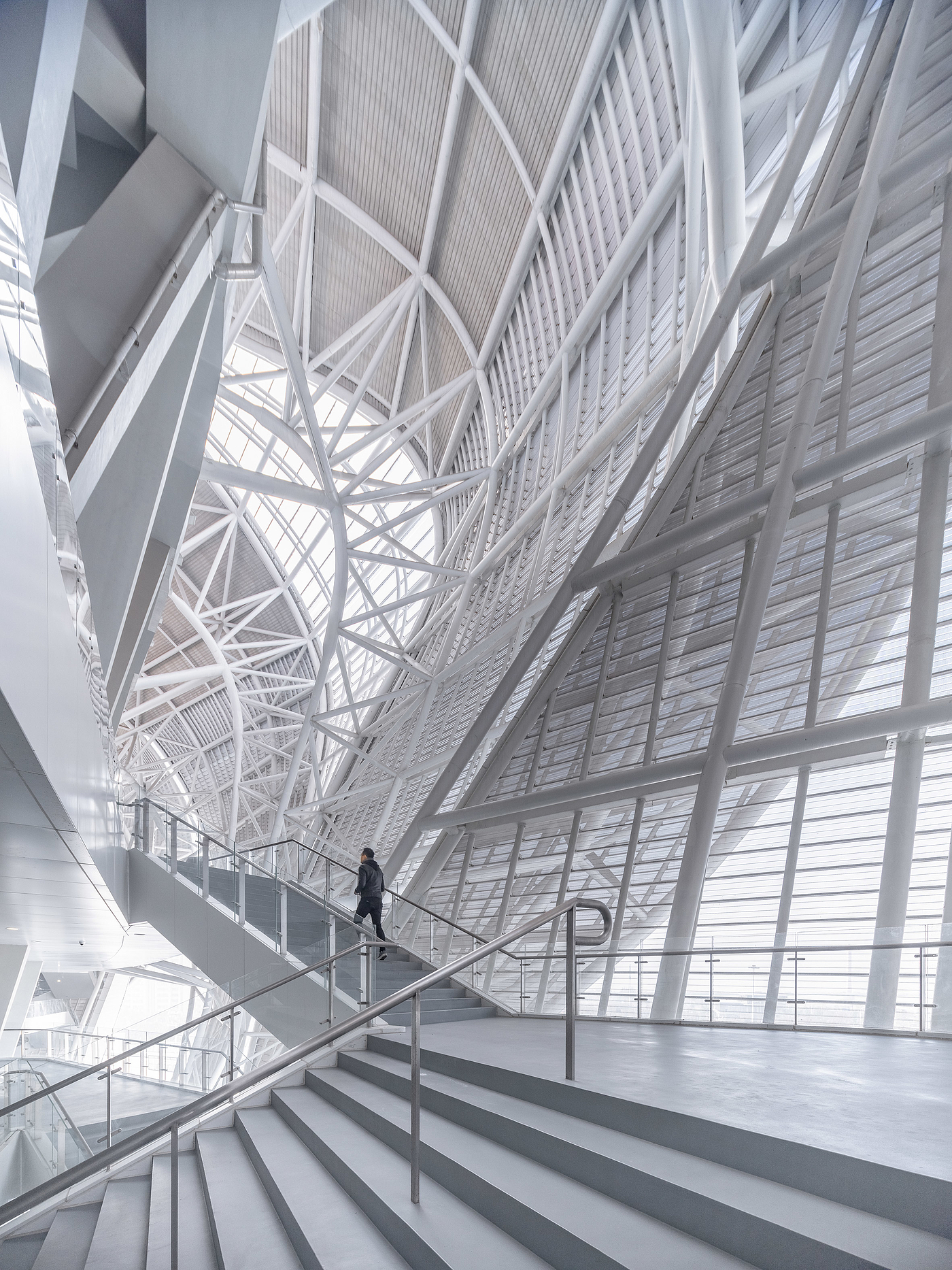 Architecture，Lotus，Olympics，Modeling design，