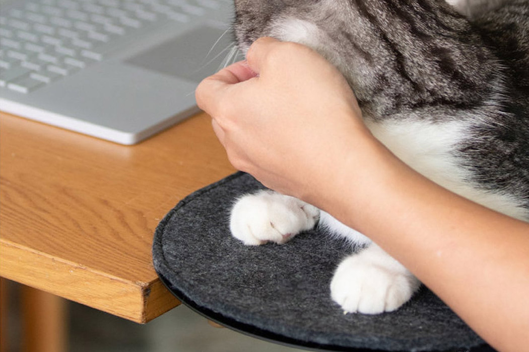 Kitty，product design，Cat climbing frame，indoor，