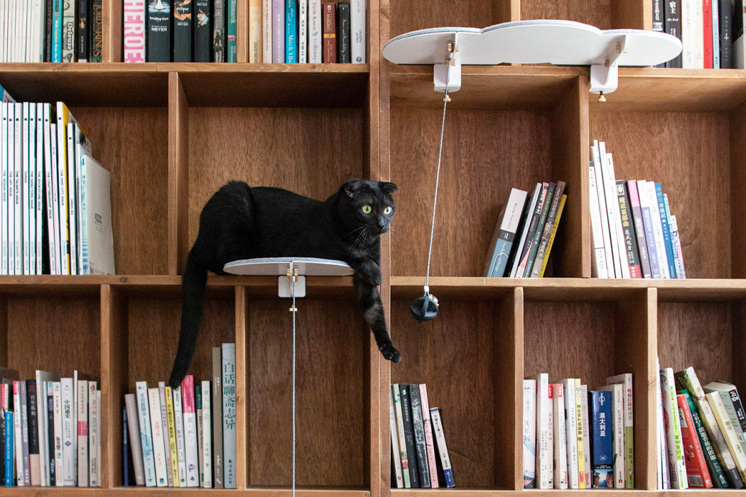 Kitty，product design，Cat climbing frame，indoor，