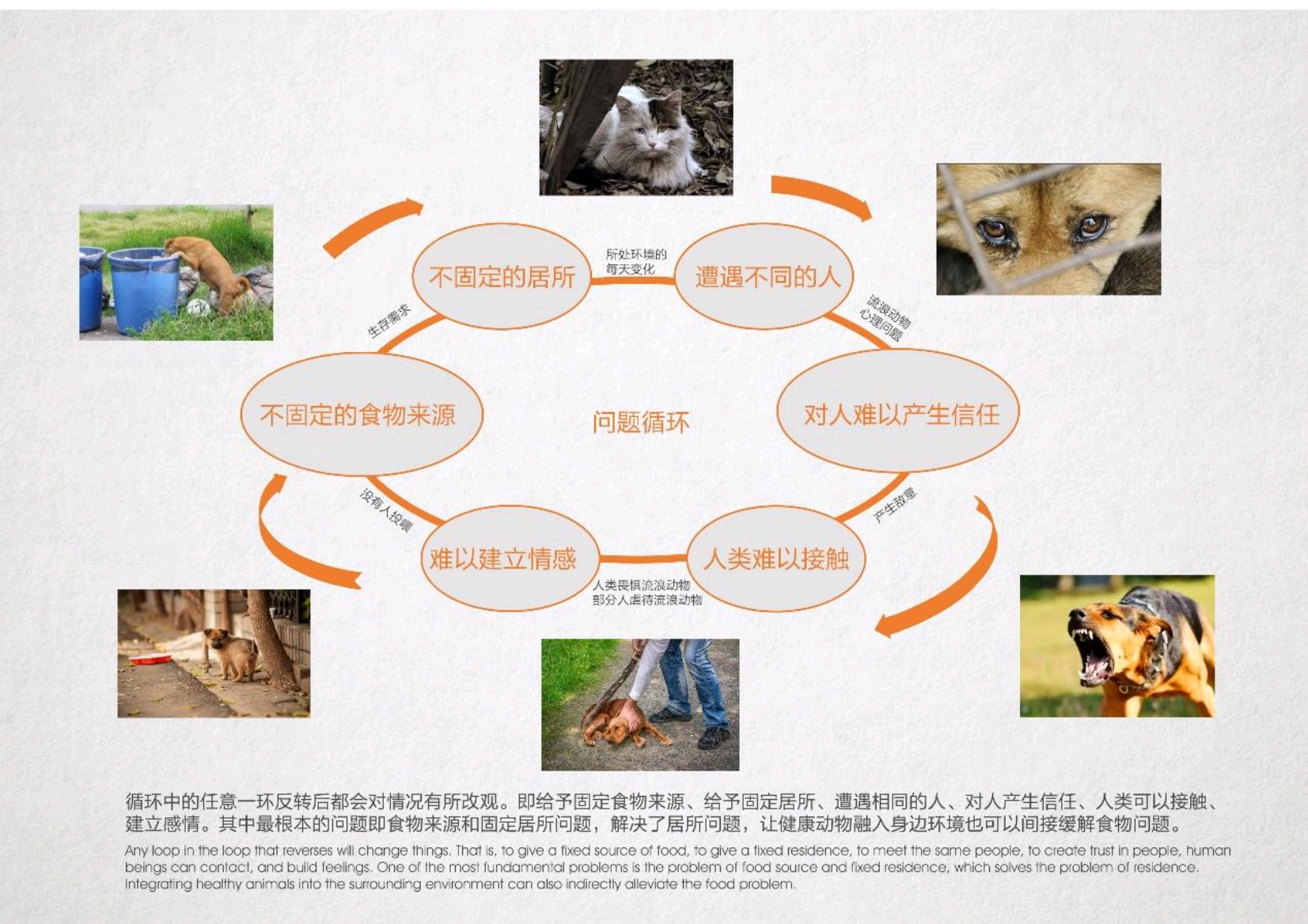 bench，communal facilities，Stray animals，App Design，modularization，stray dog，Man and society，humanistic concern，