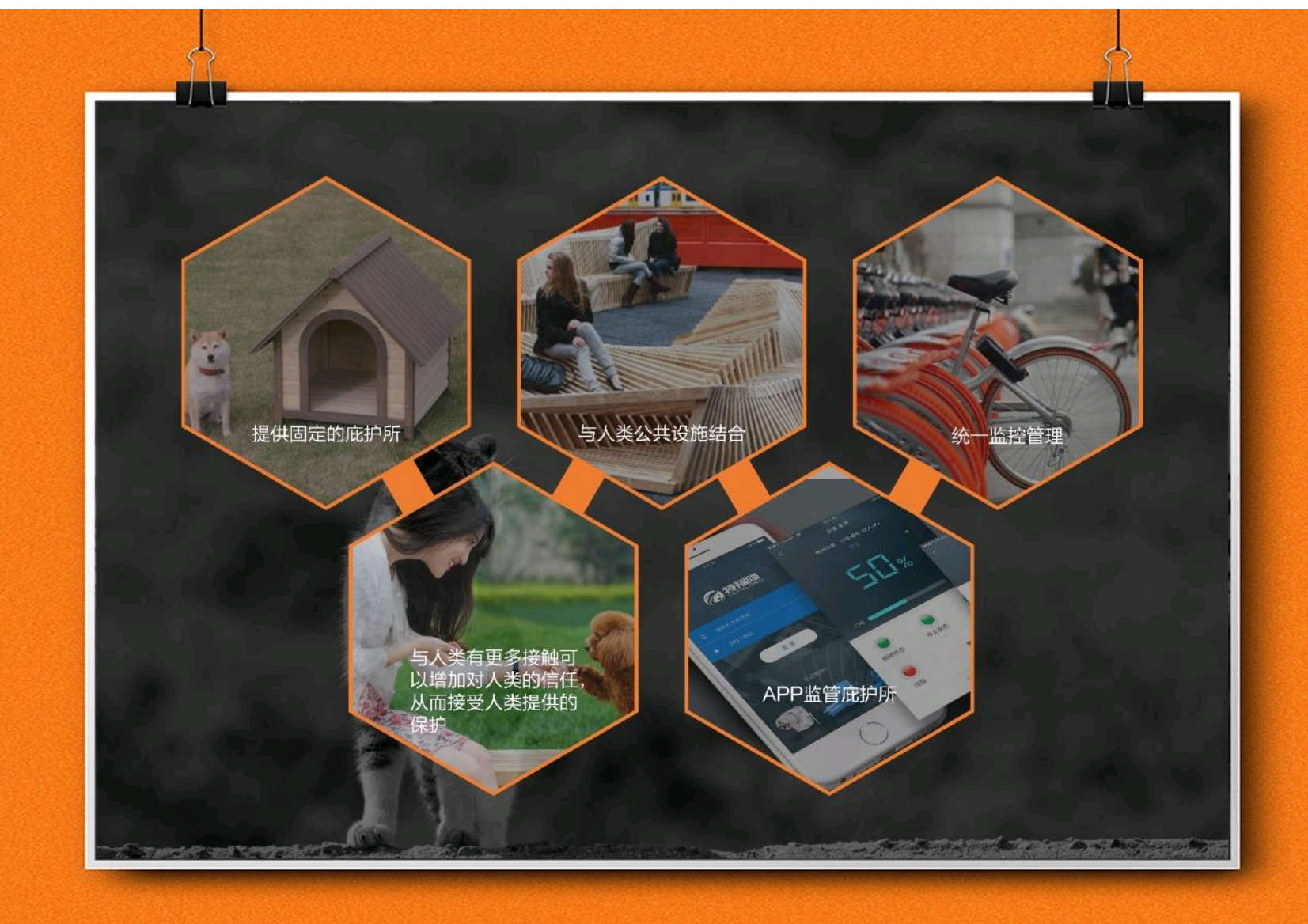 bench，communal facilities，Stray animals，App Design，modularization，stray dog，Man and society，humanistic concern，