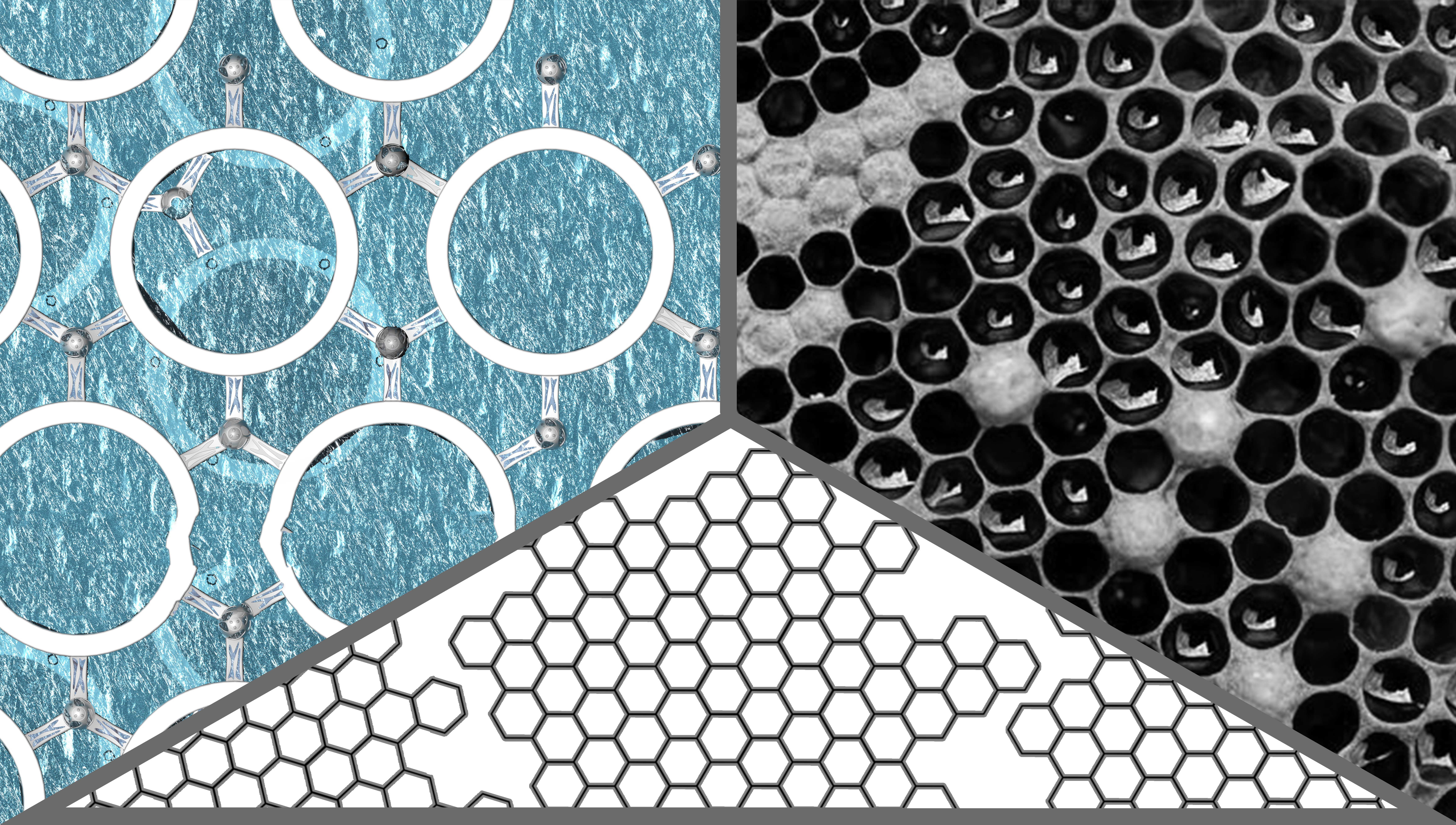 conceptual design，Aquaculture，modularization，Marine resources development，Scene rendering，Production equipment，