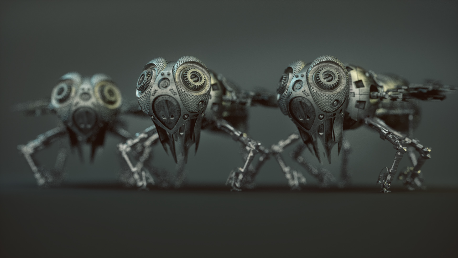 Model，concept，wasp，