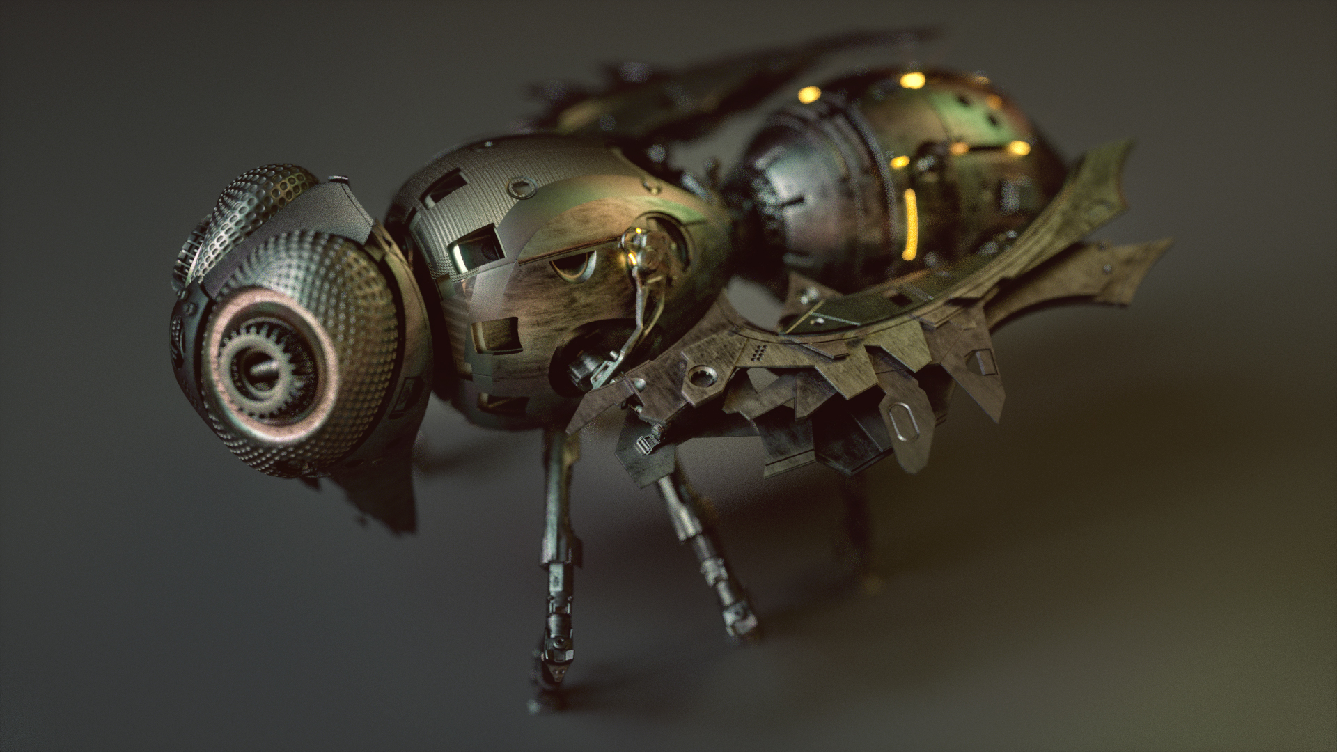 Model，concept，wasp，