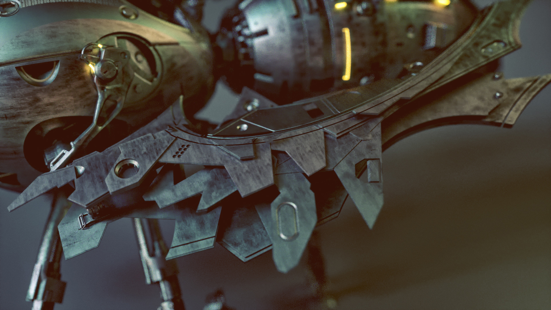 Model，concept，wasp，