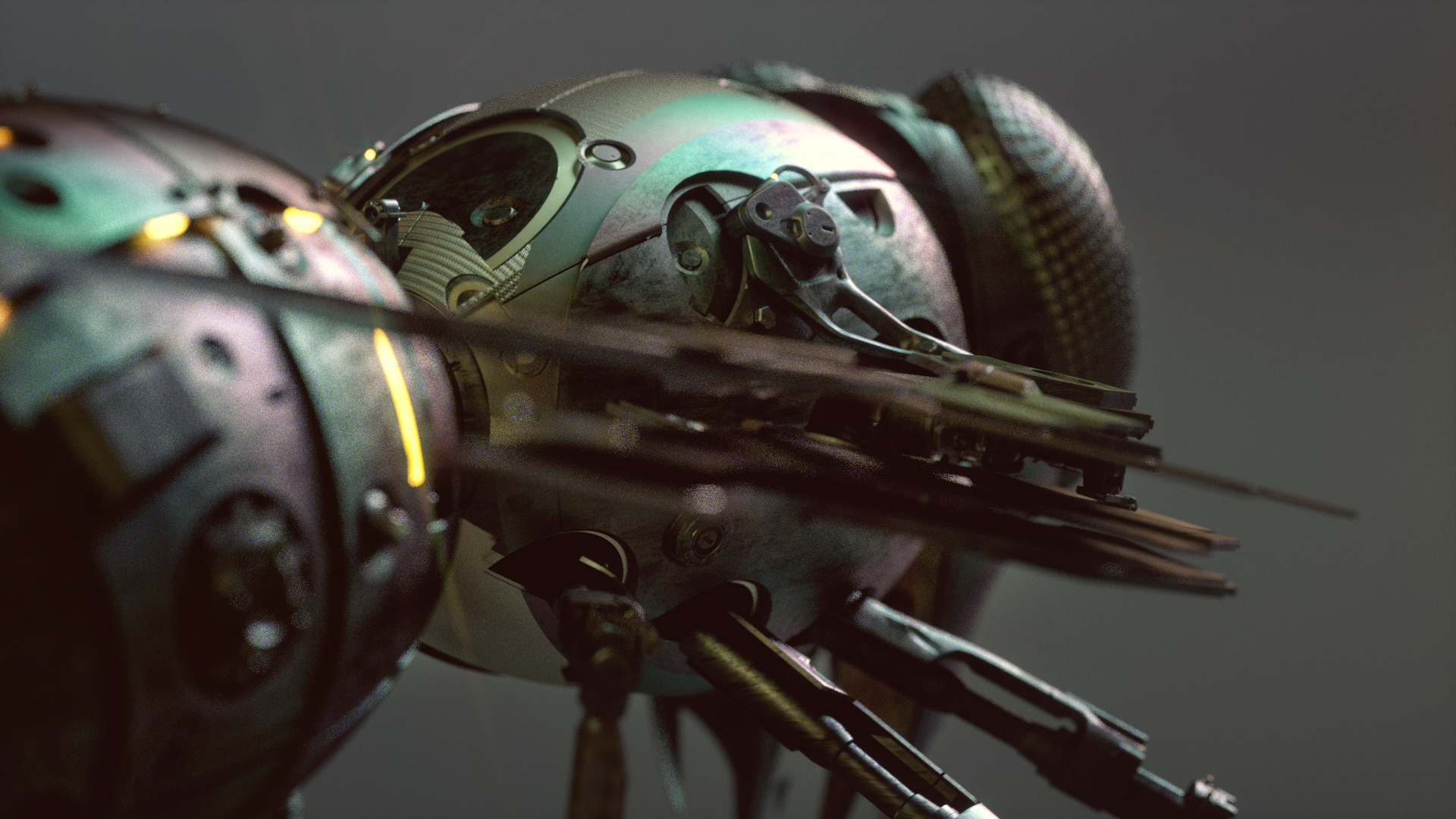 Model，concept，wasp，