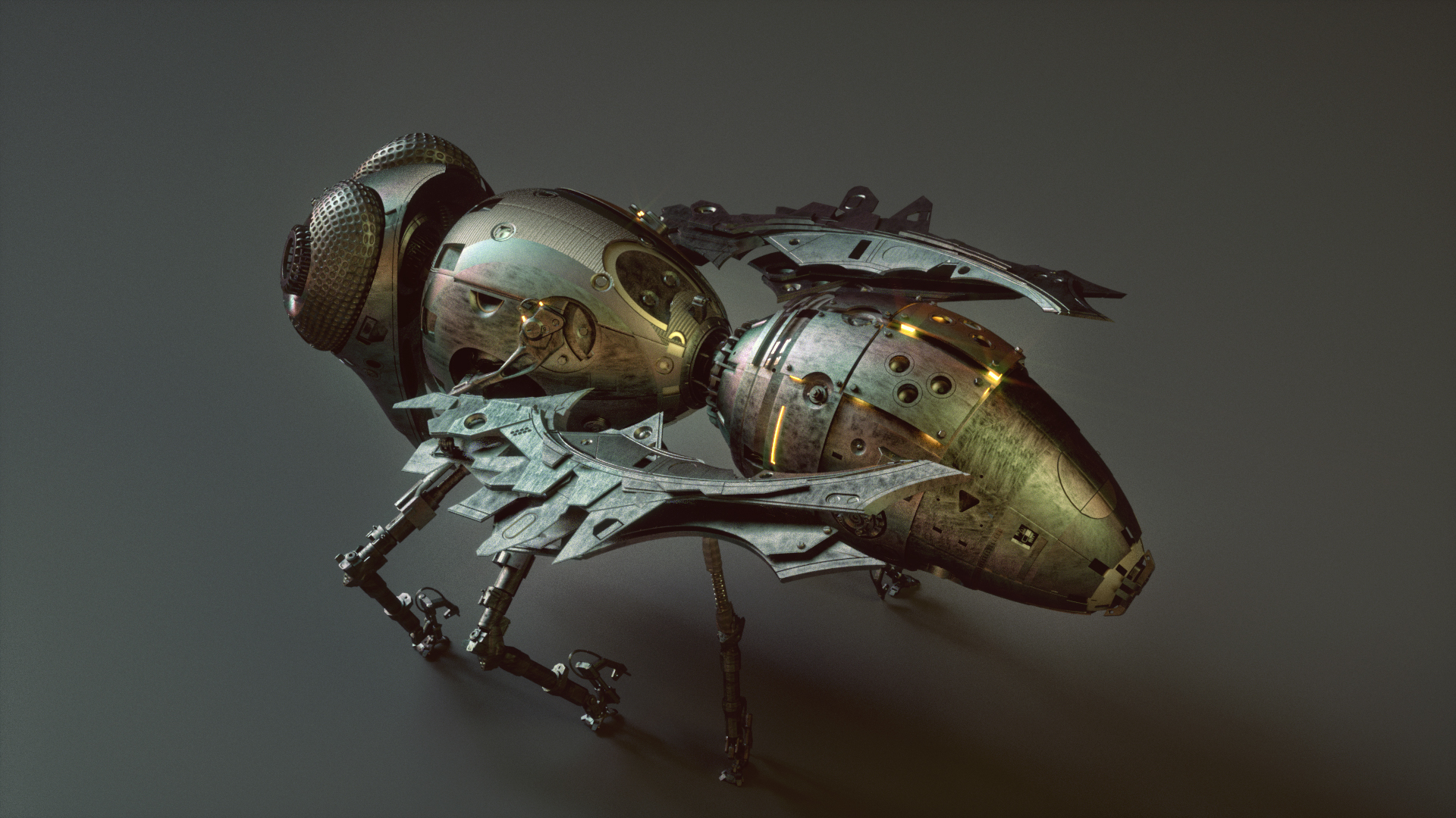 Model，concept，wasp，