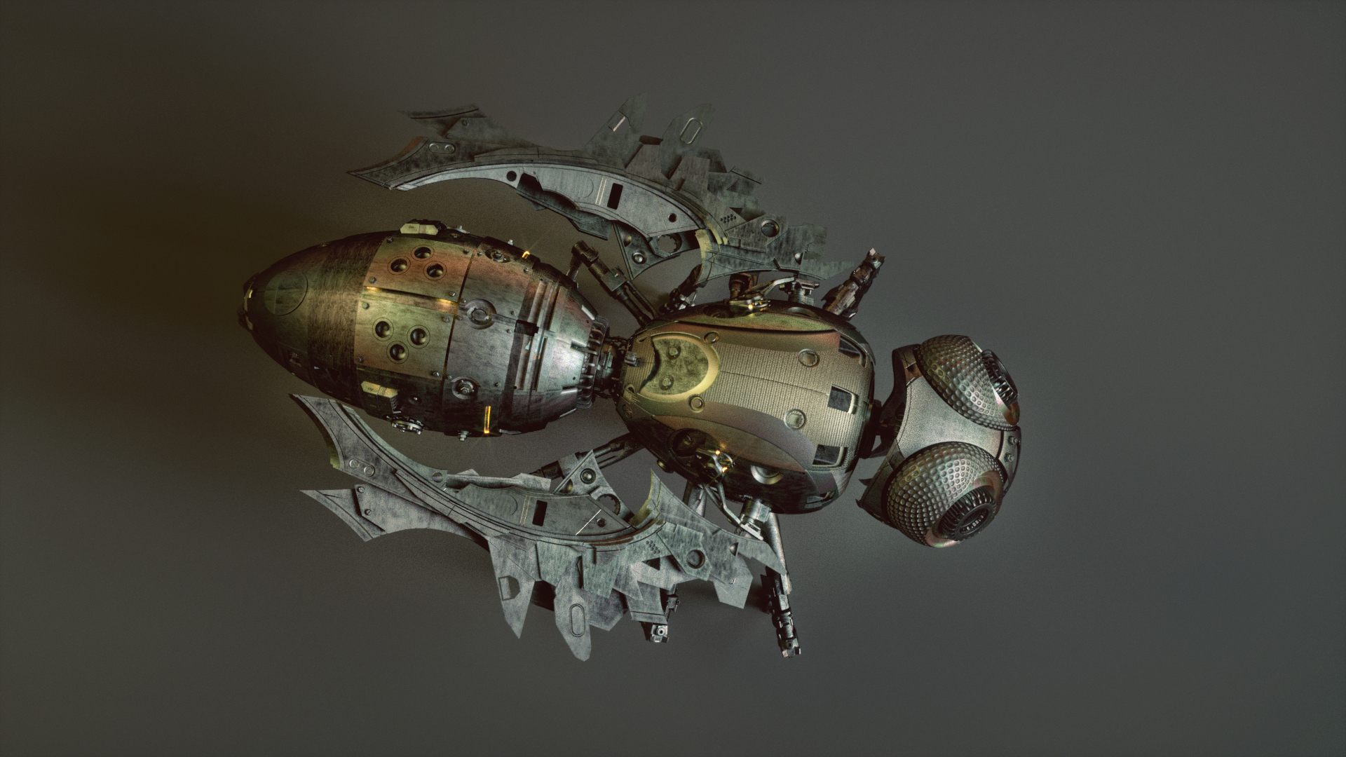 Model，concept，wasp，