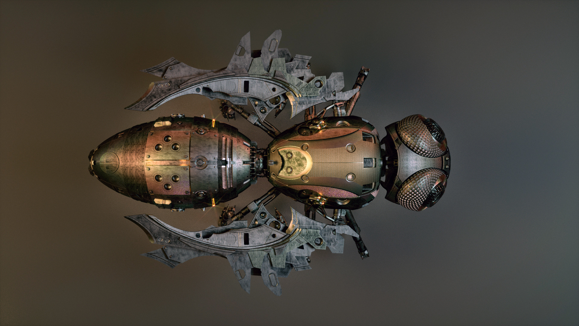 Model，concept，wasp，