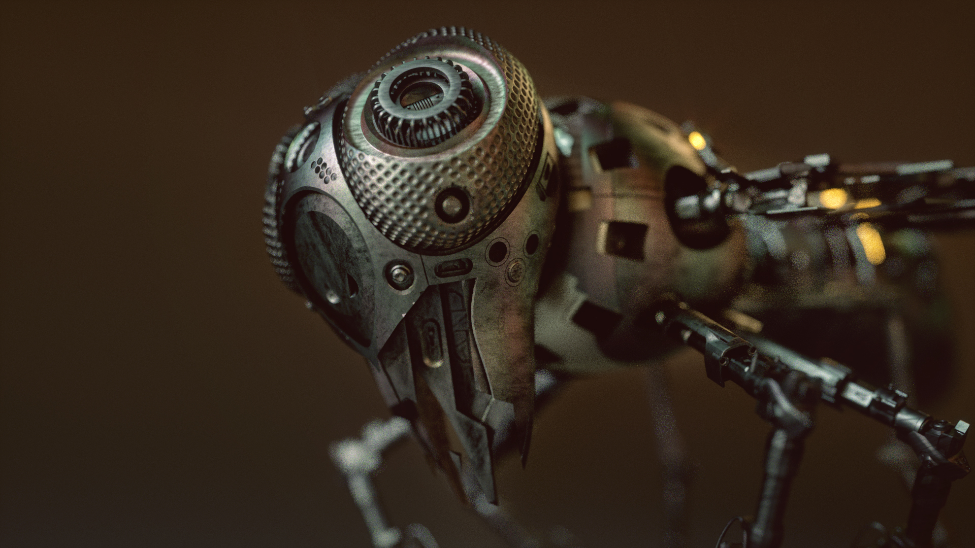 Model，concept，wasp，