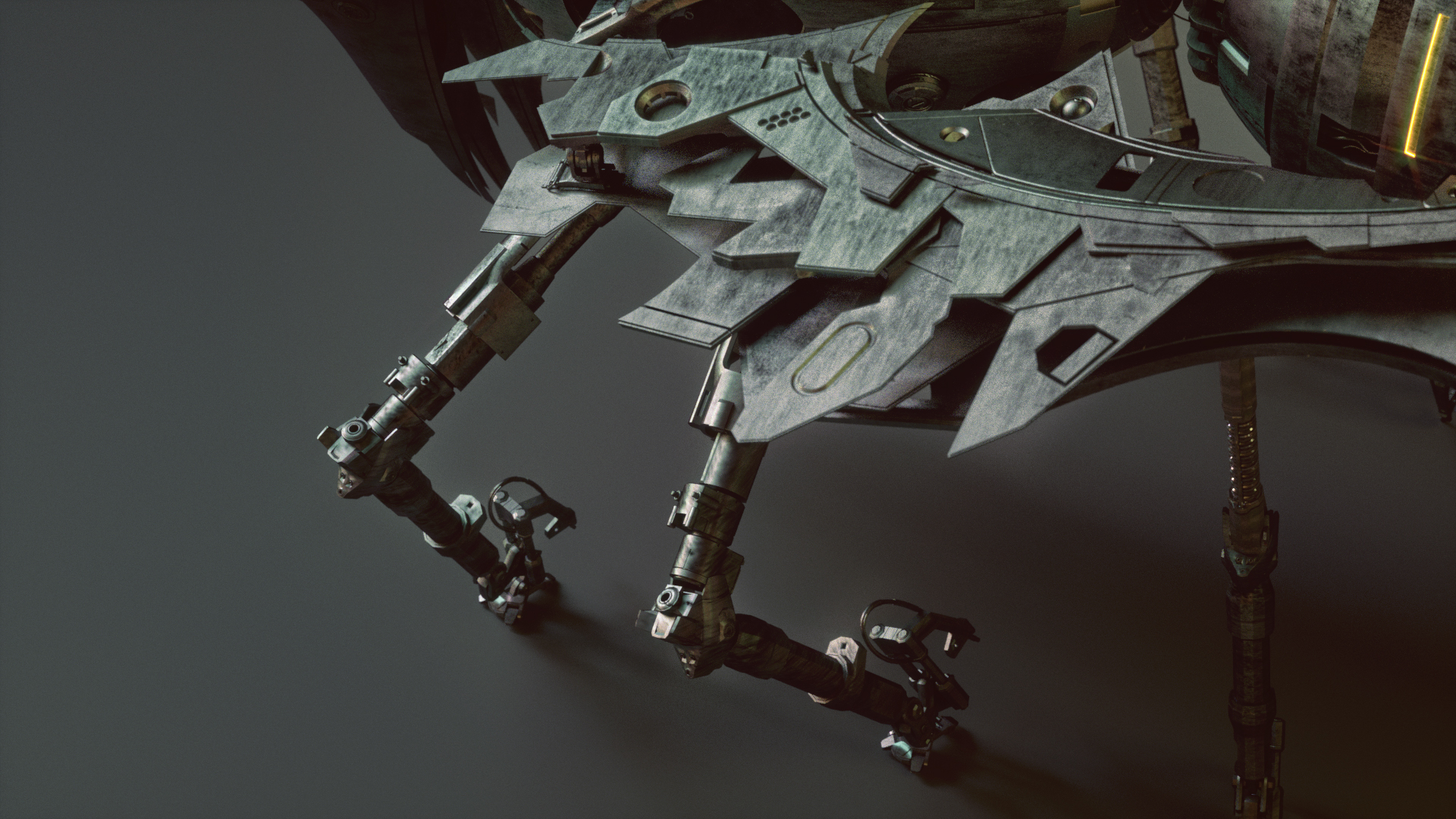 Model，concept，wasp，