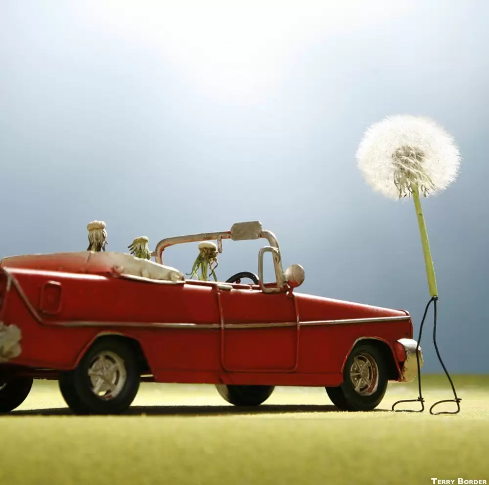 Interesting，Photography，wire，Art，