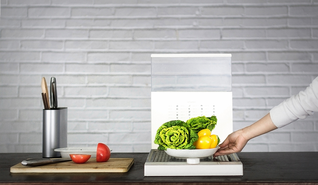 steamer，Small，Simplicity，healthy，Red dot award，