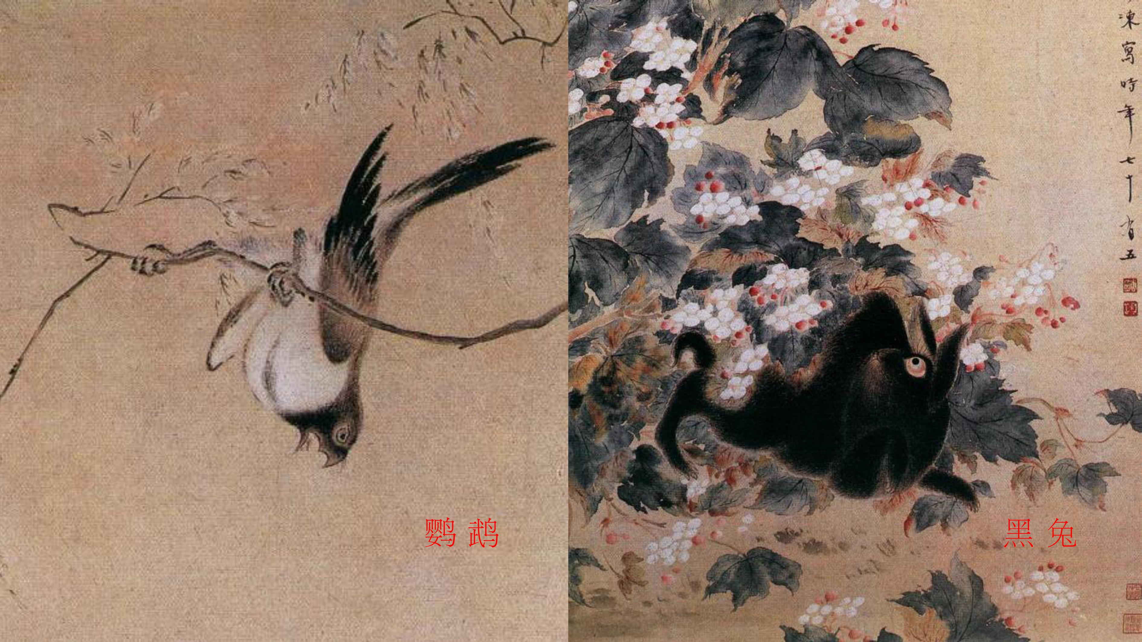 Cultural creation，