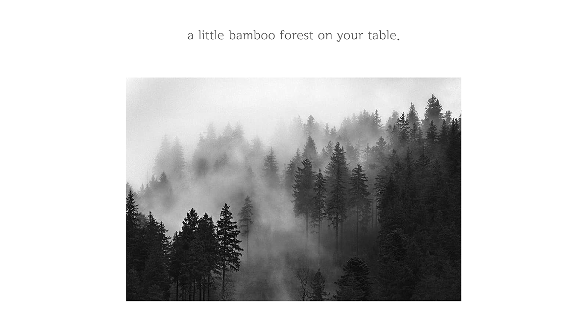 BLACK FOREST，Bamboo，ornament，