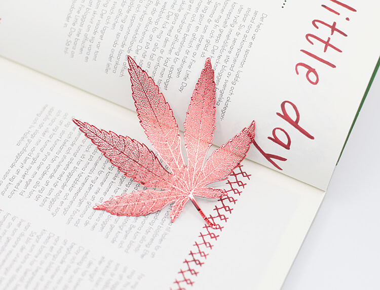 maple leaves，bookmark，read，