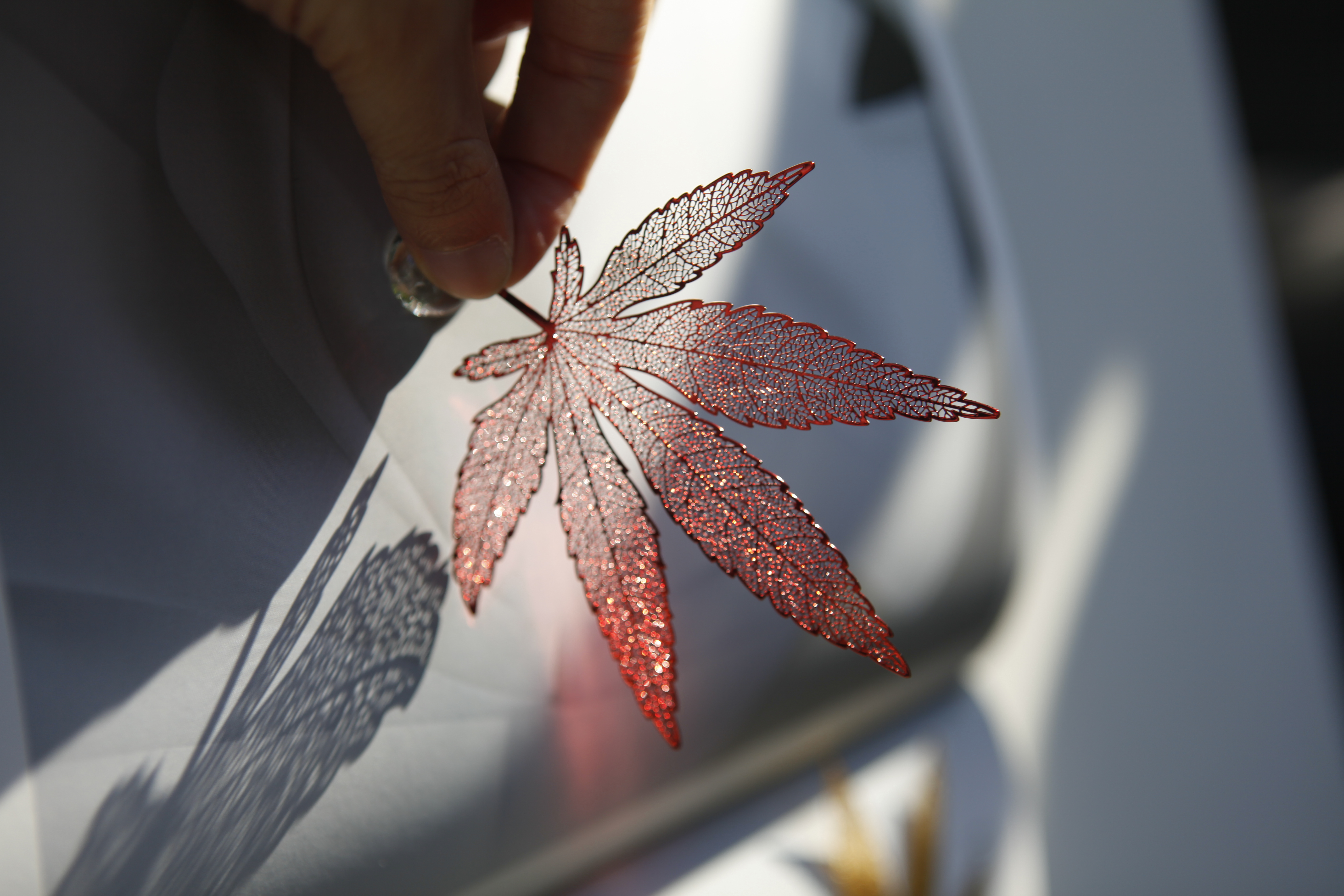 maple leaves，bookmark，read，