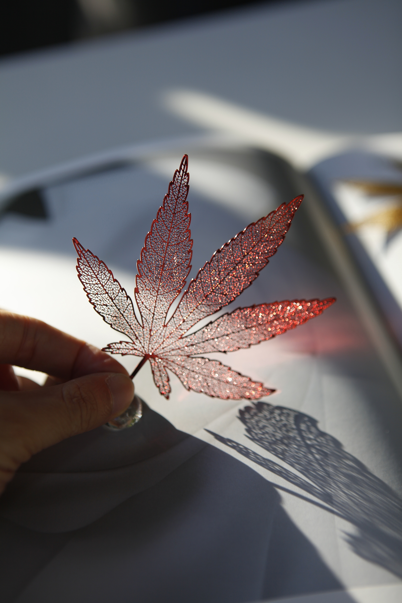 maple leaves，bookmark，read，