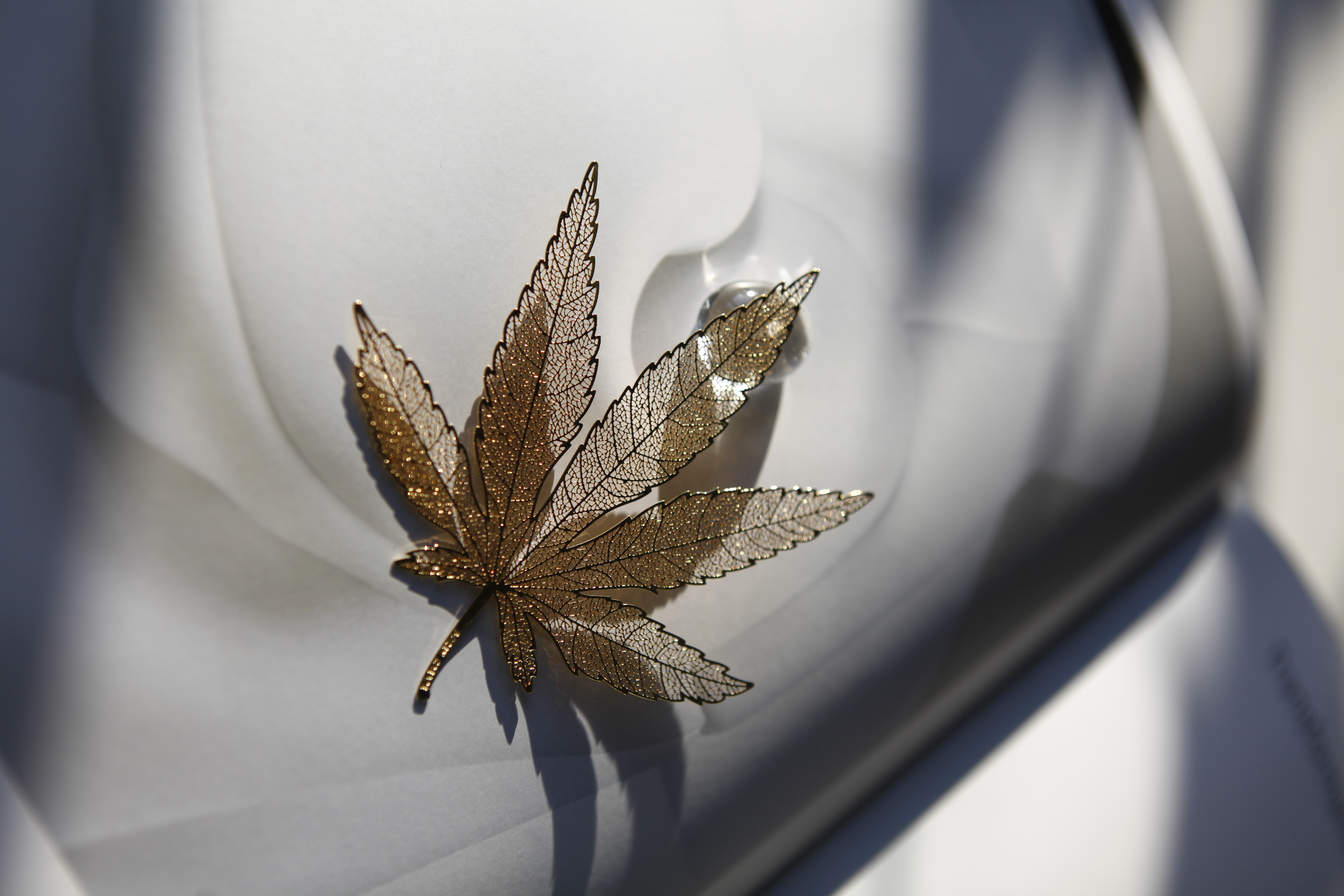 maple leaves，bookmark，read，