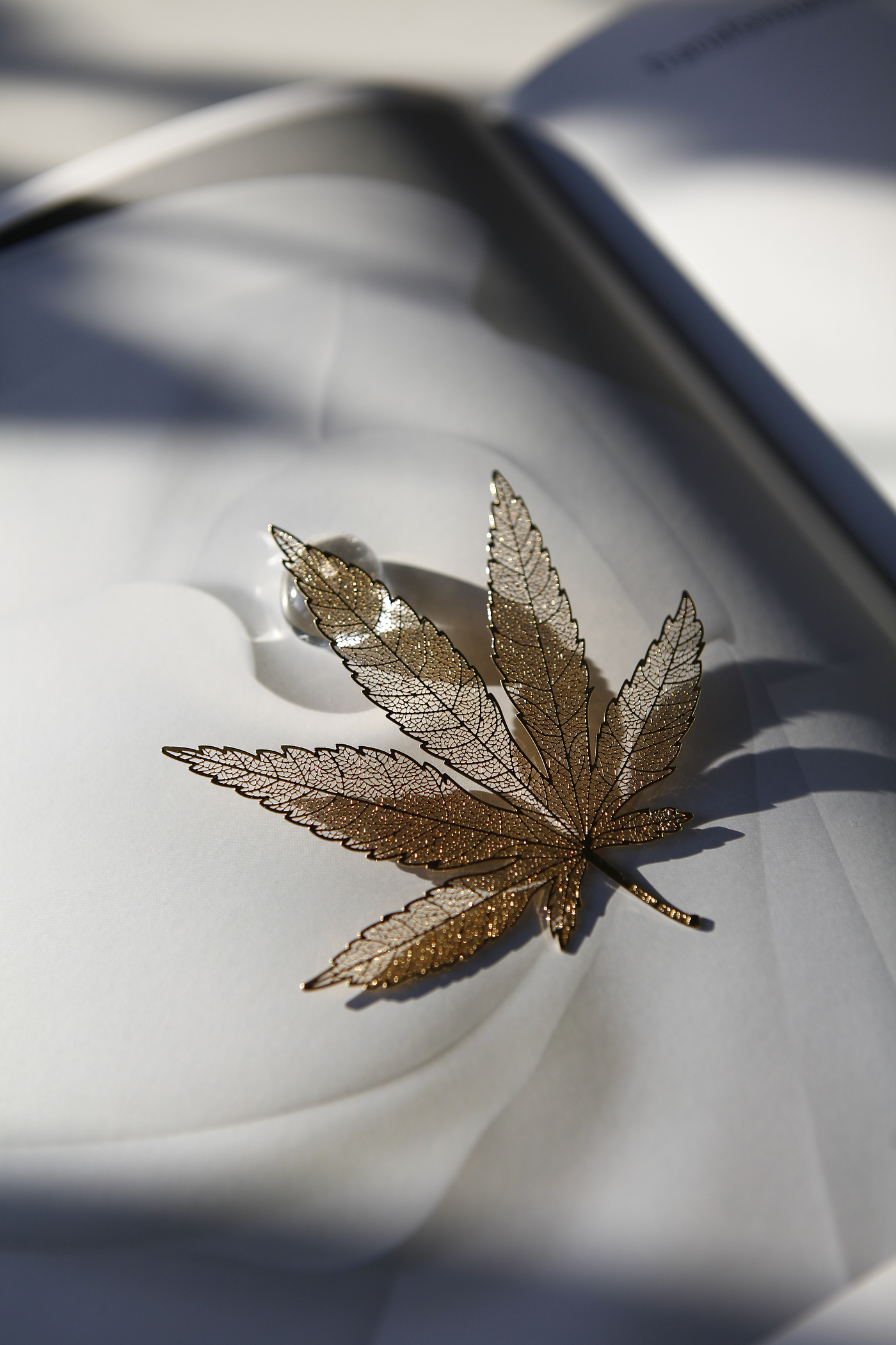 maple leaves，bookmark，read，