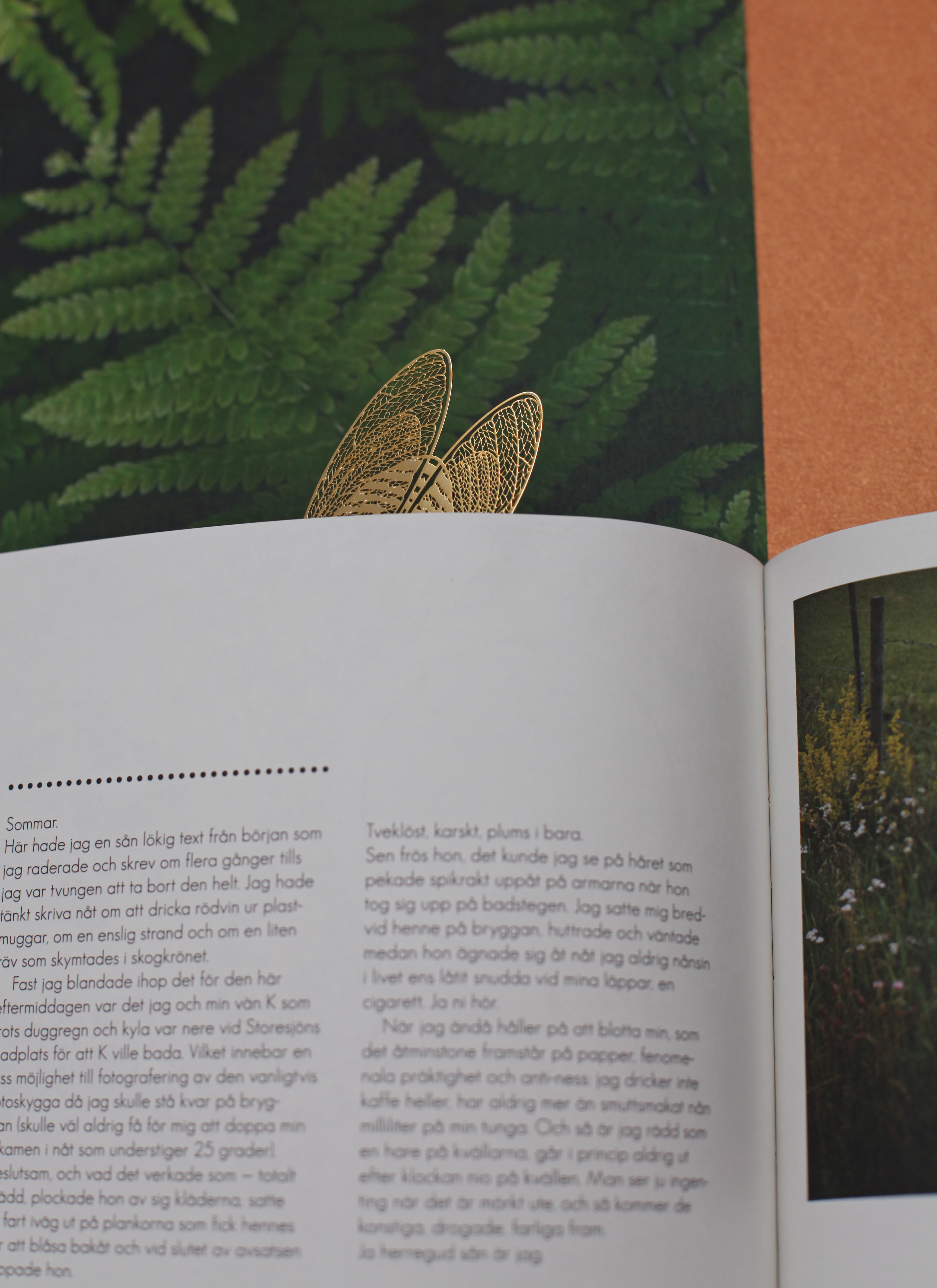 In the palm of your hand，bookmark，Summer cicada，