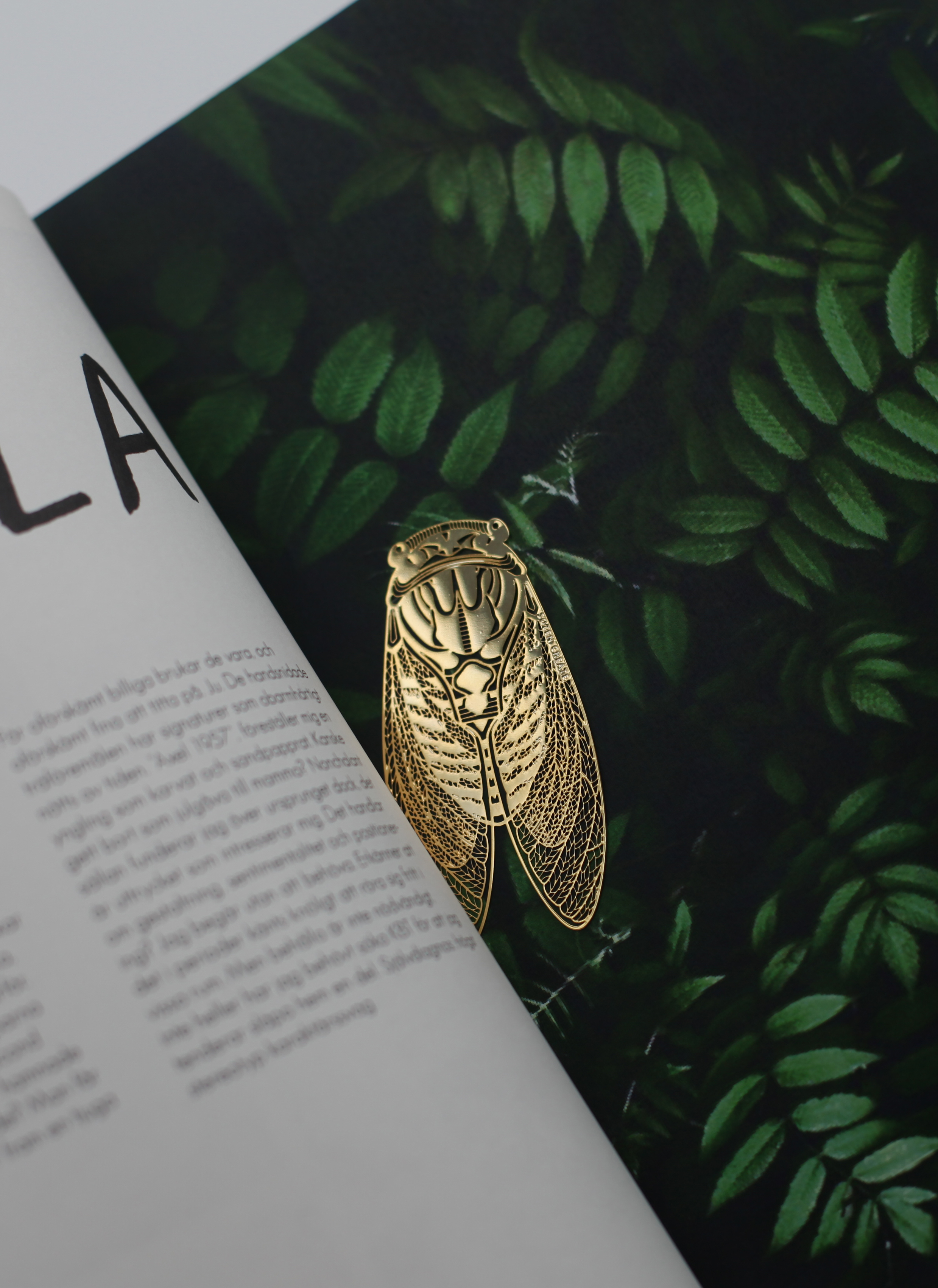 In the palm of your hand，bookmark，Summer cicada，