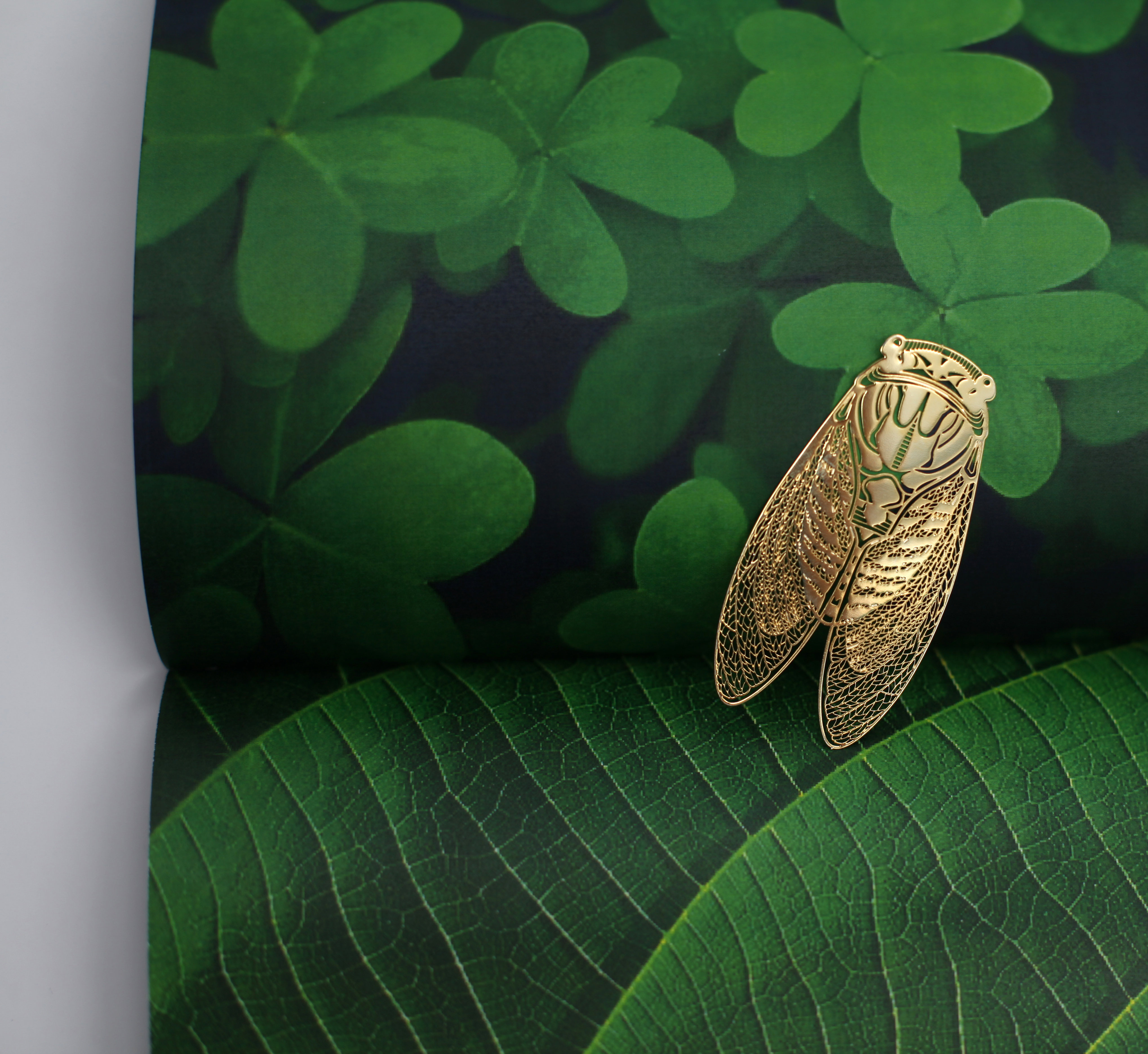 In the palm of your hand，bookmark，Summer cicada，