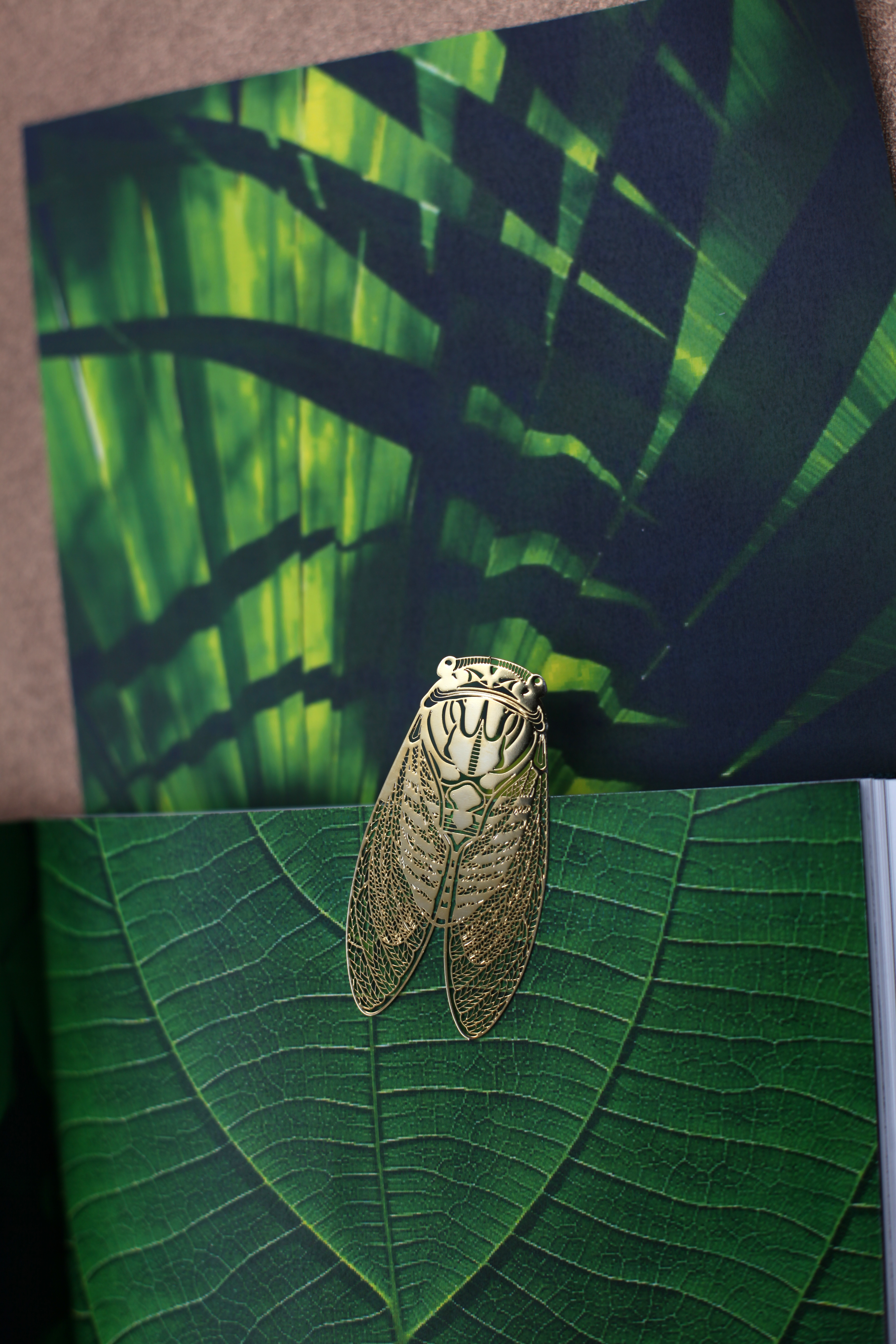 In the palm of your hand，bookmark，Summer cicada，