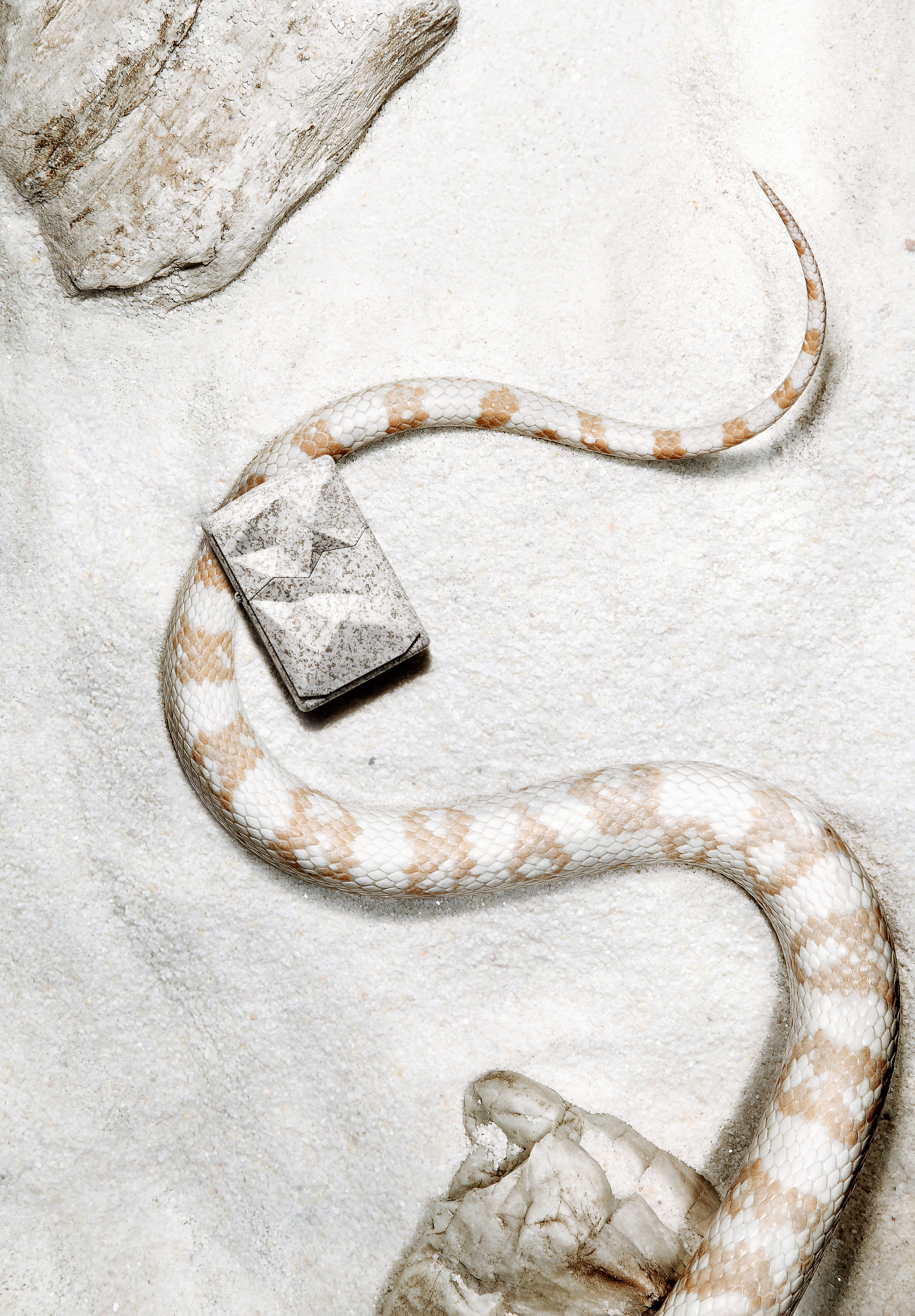 Visual planning，KV shooting，Poster design，Product shooting，