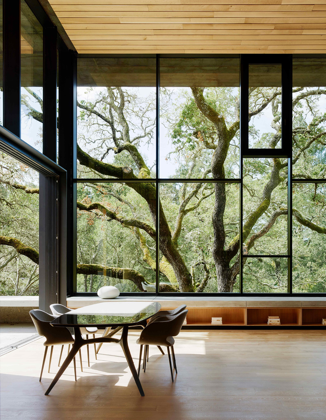 indoor，Interesting，courtyard，library，church，