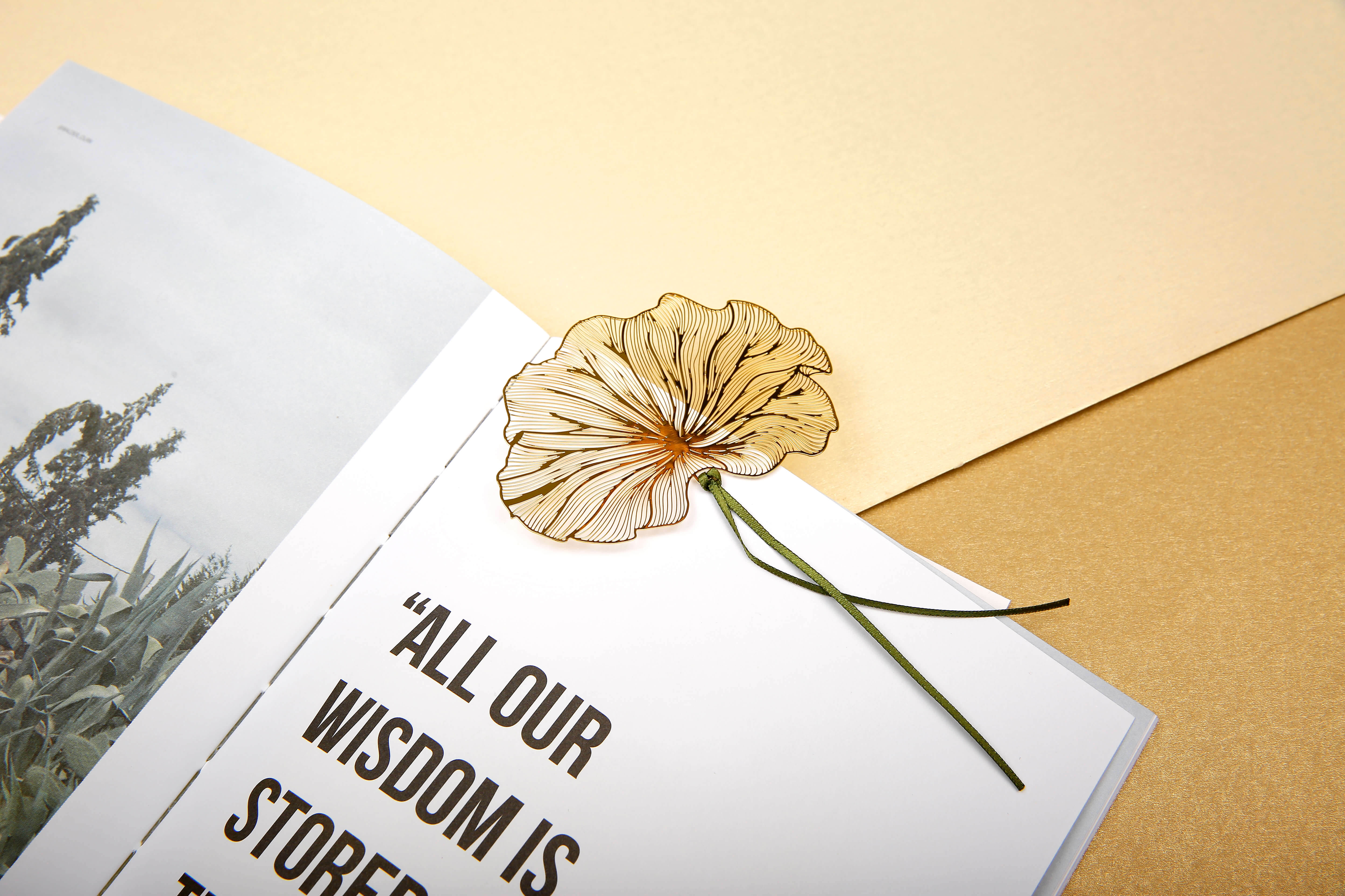 In the palm of your hand，bookmark，Wind lotus，